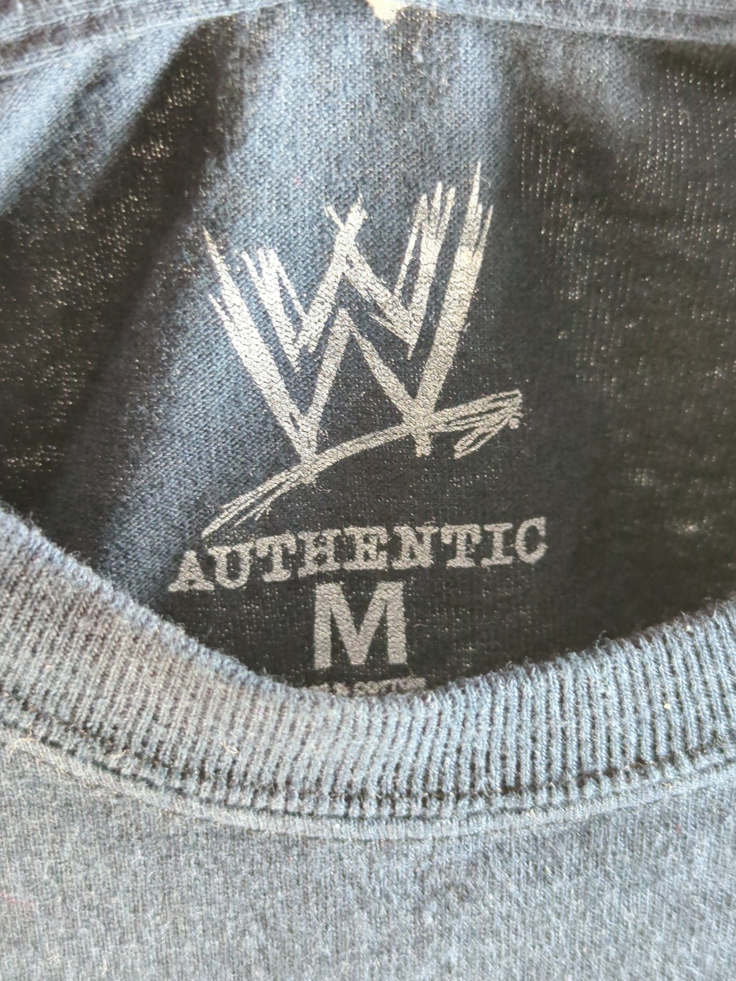 ポール・ヘイマン「I'M A PAUL HEYMAN GUY.」Tシャツ(WWE(2011) / ネイビー)