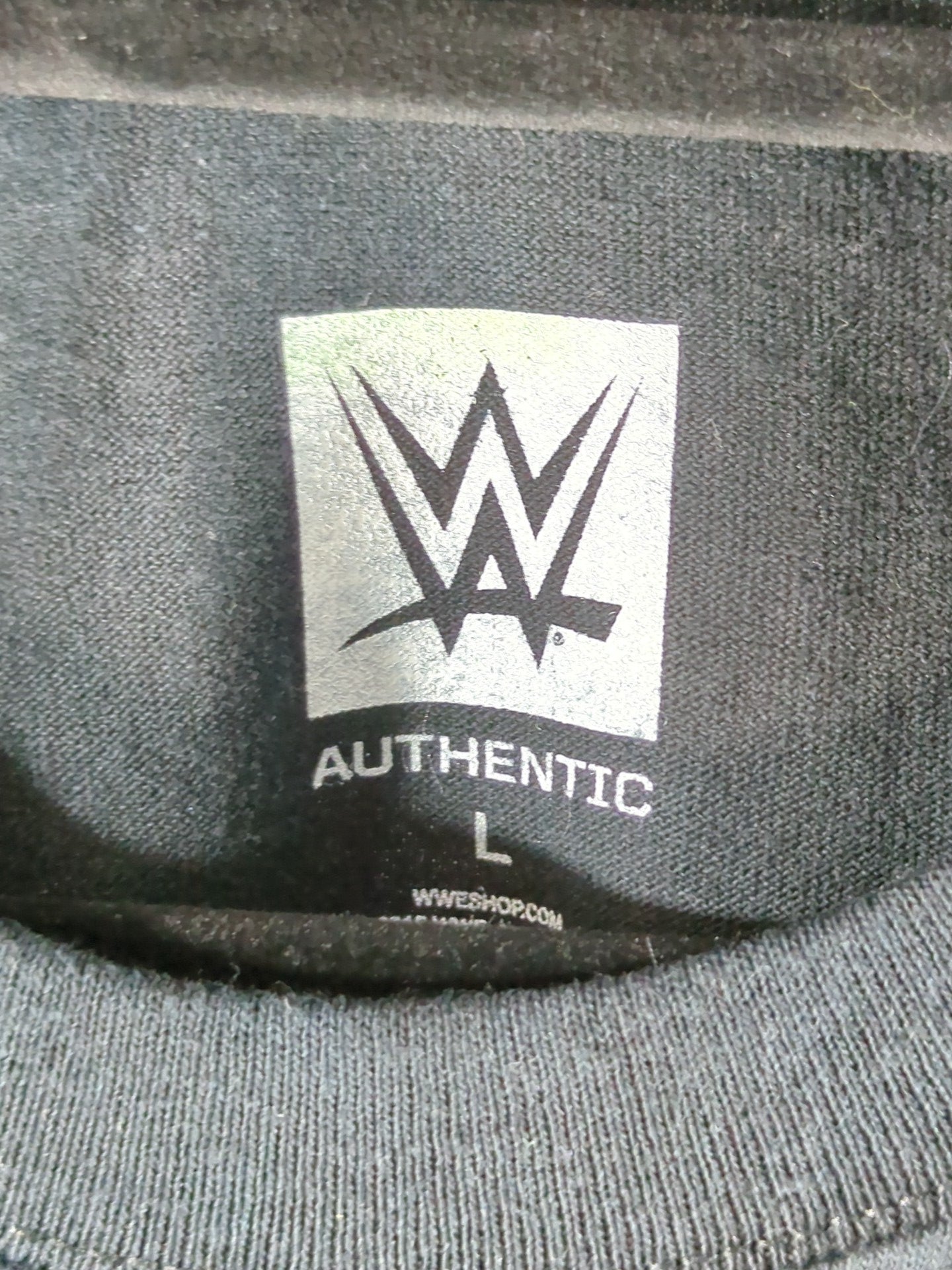 WWE LIVE JAPAN TOUR 2015 "THE BEAST IS BACK" Picture T-Shirt (WWE (2015) / Black)