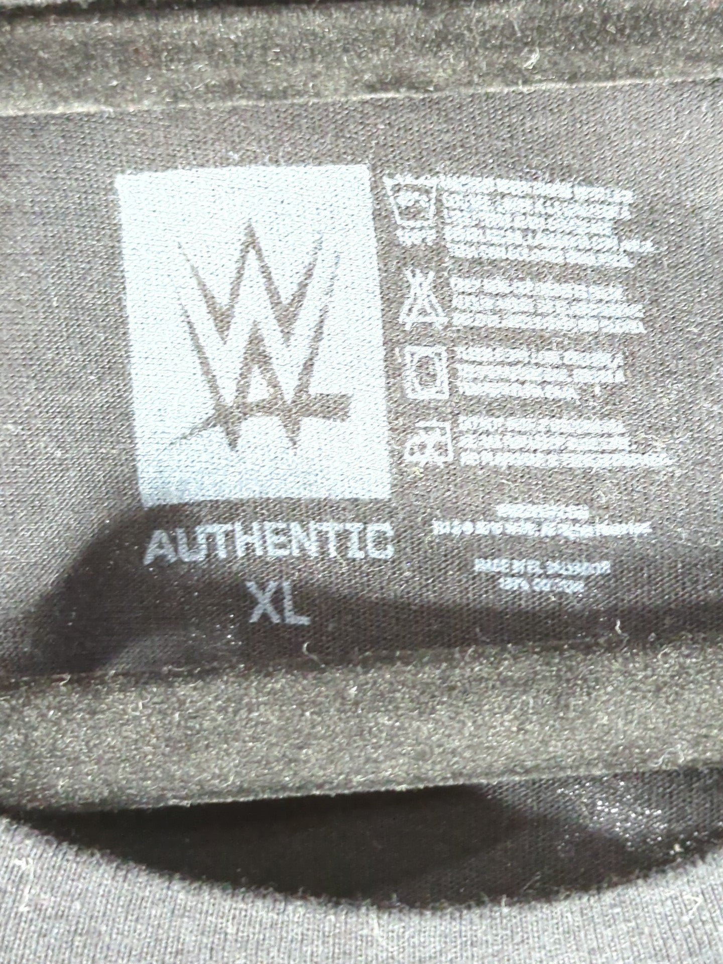 ハルク・ホーガン×アウトサイダーズ「nWo begins」ピクチャーTシャツ(WWE(2010s) / ブラック)