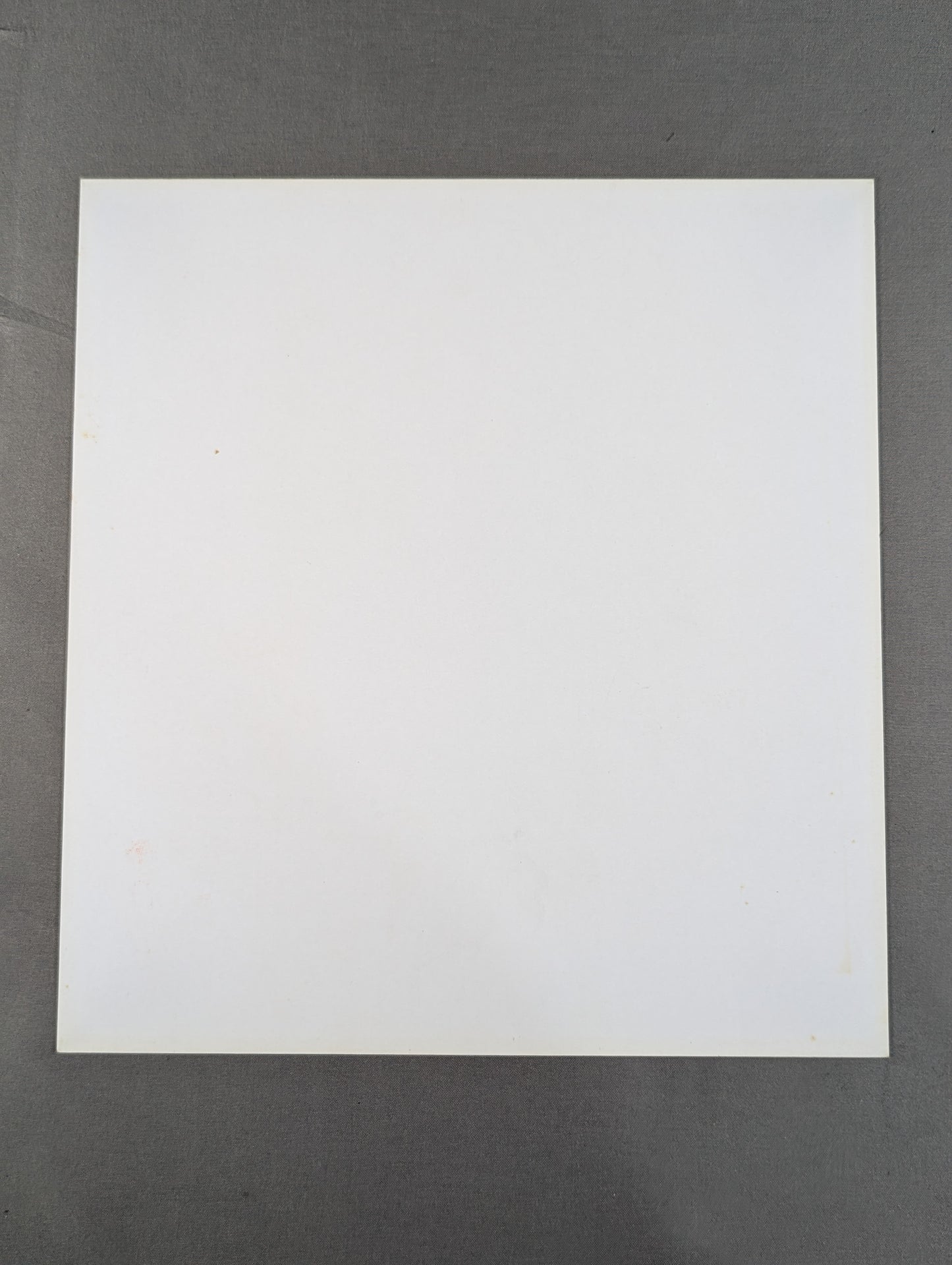 Chigusa Nagayo (Victor cardboard)