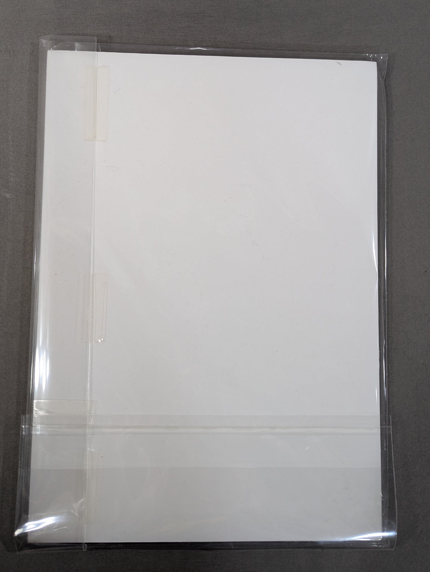 Tetsuya Naito Special A4 Panel (1)