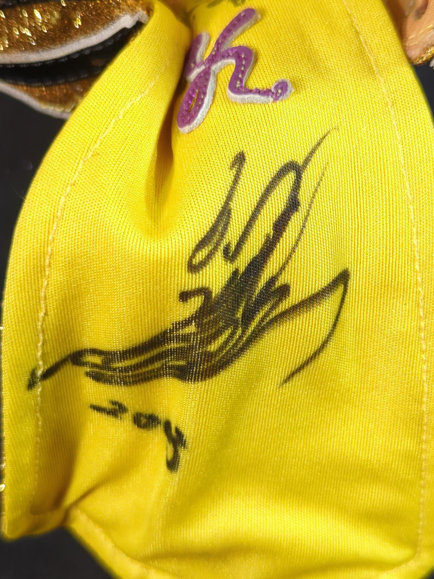 4代目タイガーマスク