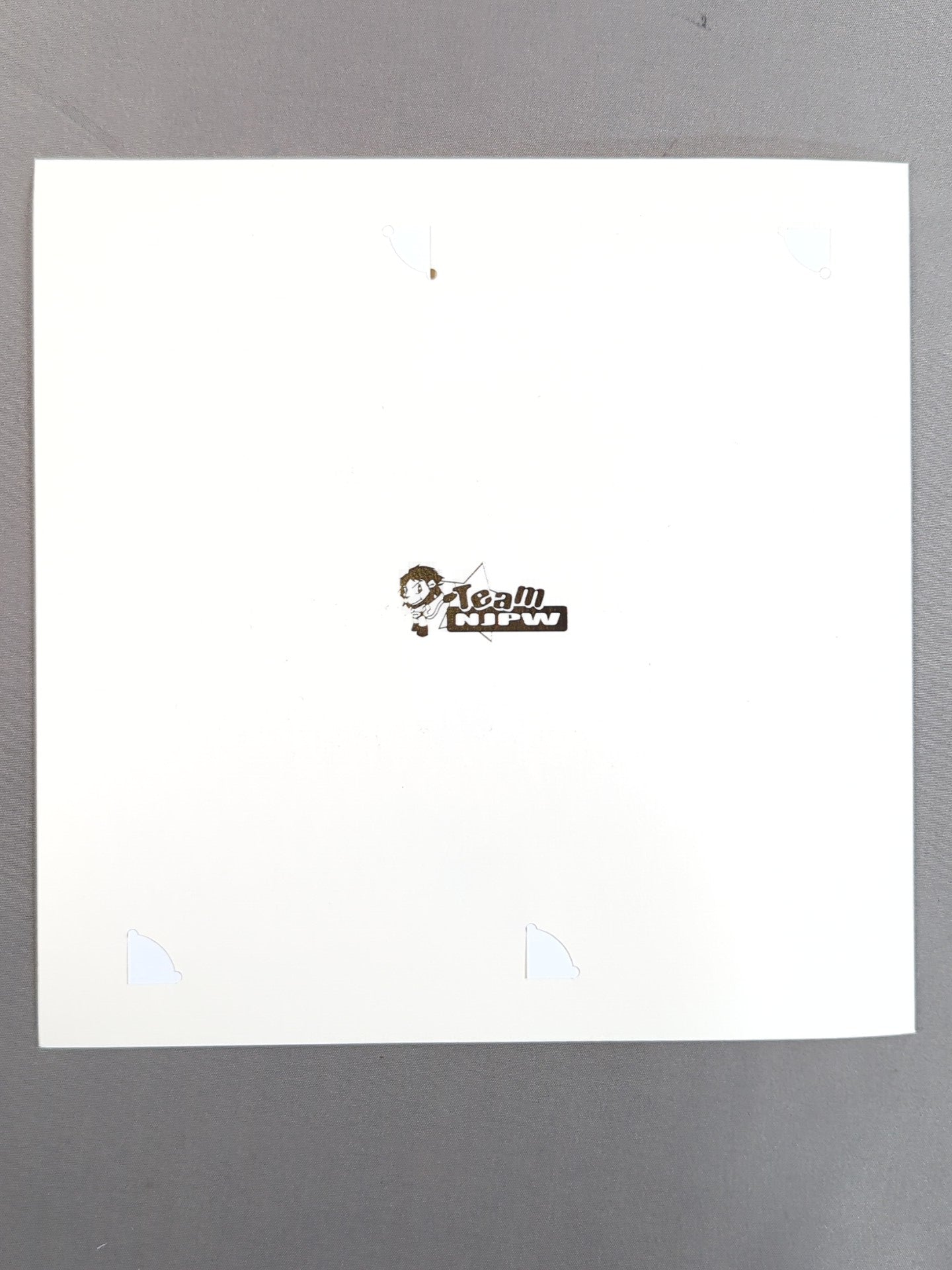 ★非売品★ 新日本プロレス レッスルキングダム20 棚橋弘至 引退 記念チケット