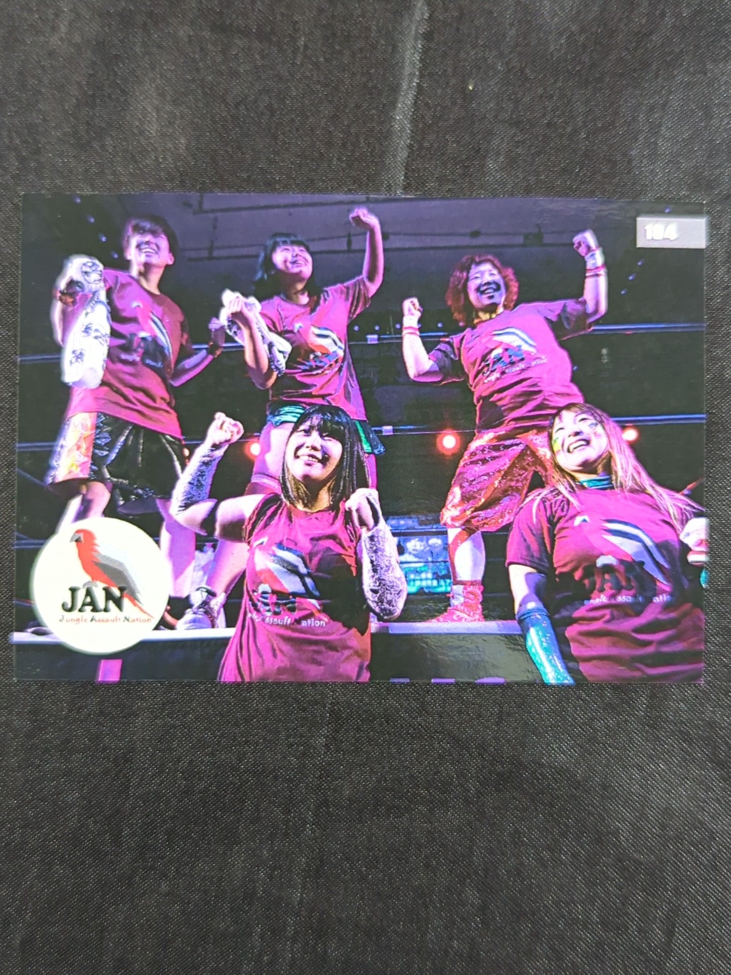 2019 STARDOM COLLECTION CARD JAN official autographed card