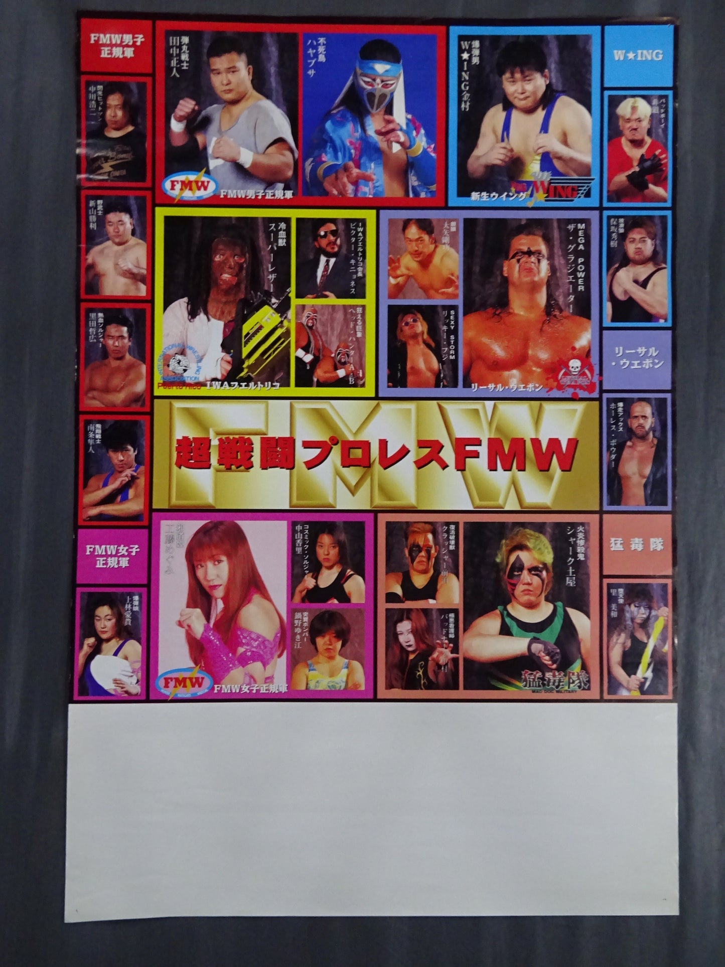 超戦闘プロレスFMW①