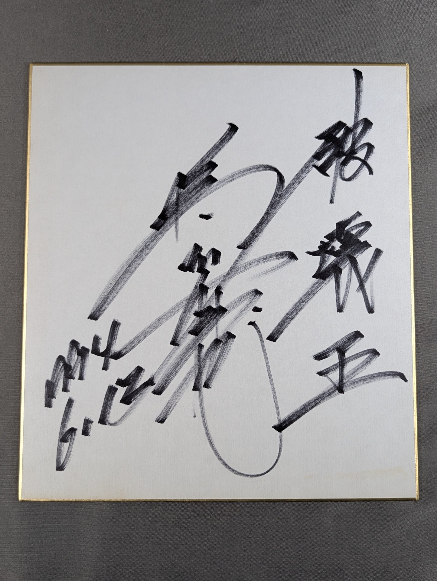 ★ King ★ of Destruction Shinya Hashimoto