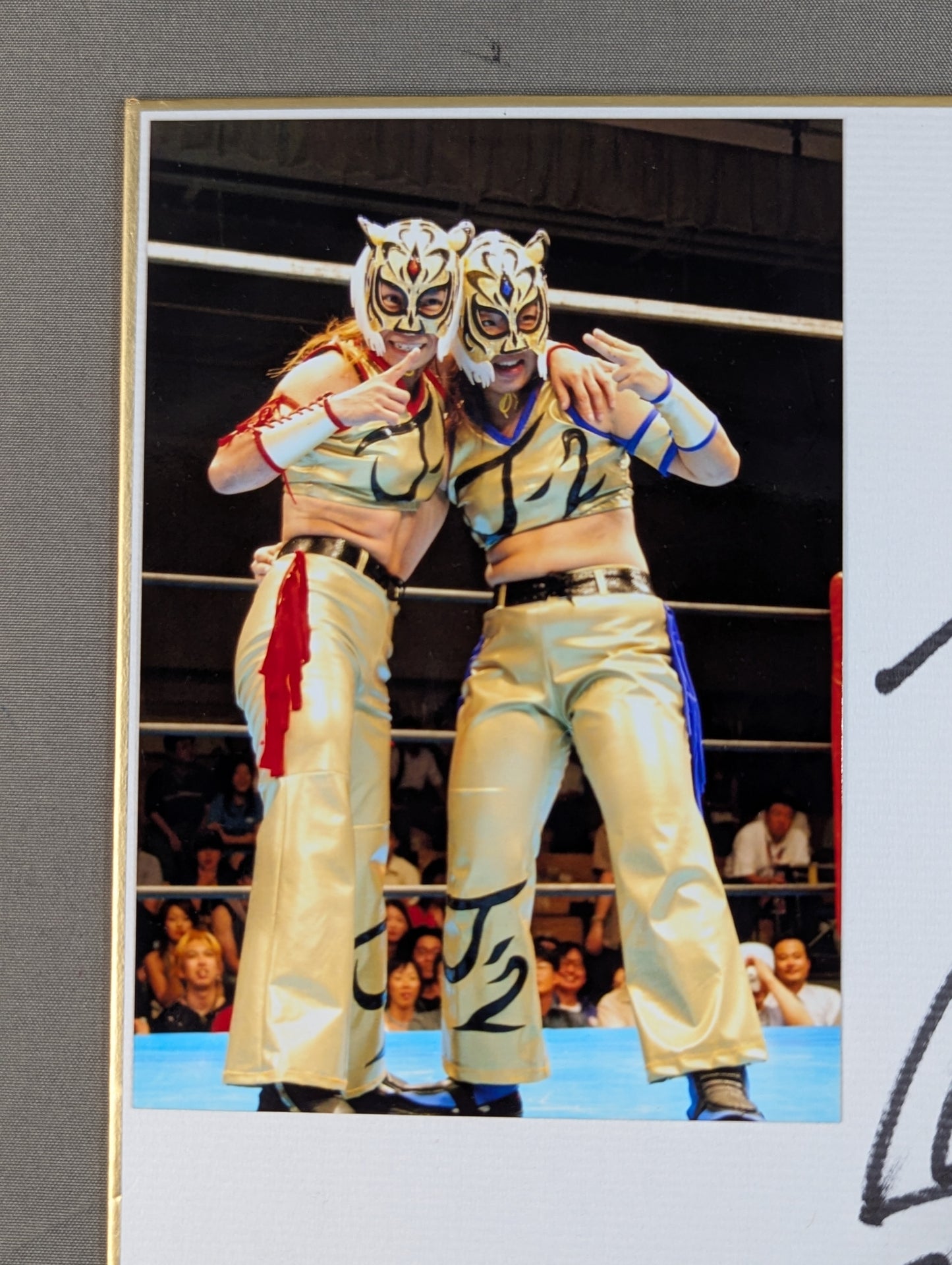 T-1 mask (photo attached)