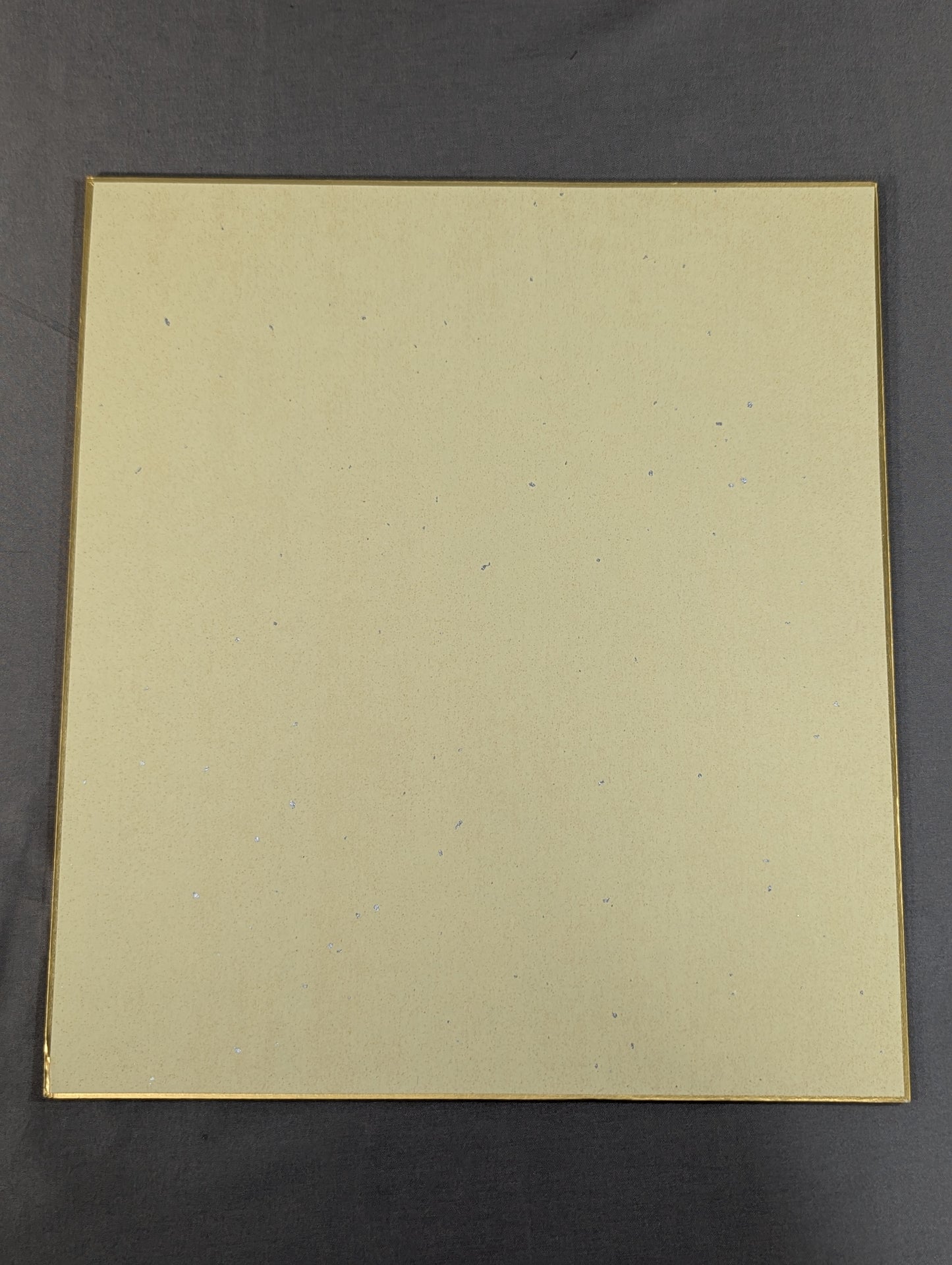 Pantera Blanca Junior & Hemelo Pantera I & Hemelo Pantera II