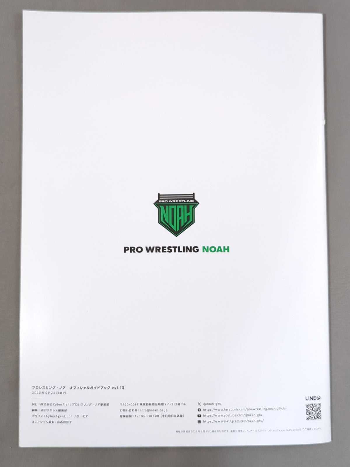 NOAH / 2023 OFFICIAL GUIDE BOOK vol.13