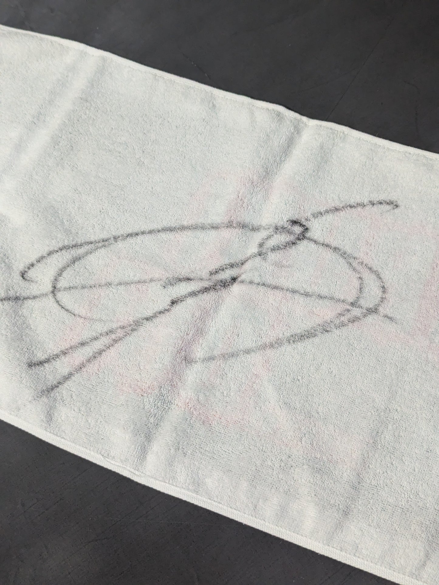 【hand signed autograph】 Naruki Doi Cheering towel