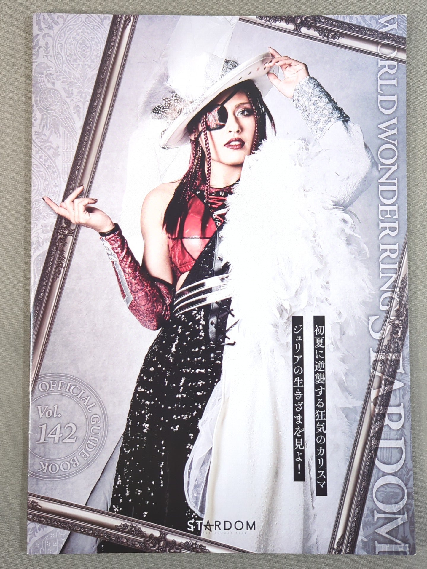 STARDOM OFFICIAL GUIDE BOOK Vol.142 – 闘道館