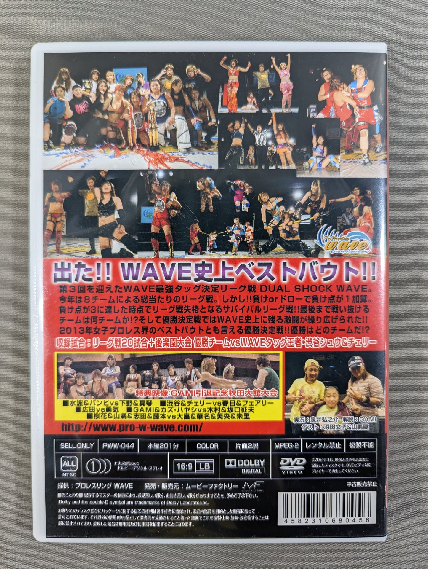 Pro-wrestling WAVE WAVE Strongest Tag Team Match DUAL SHOCK WAVE 2013