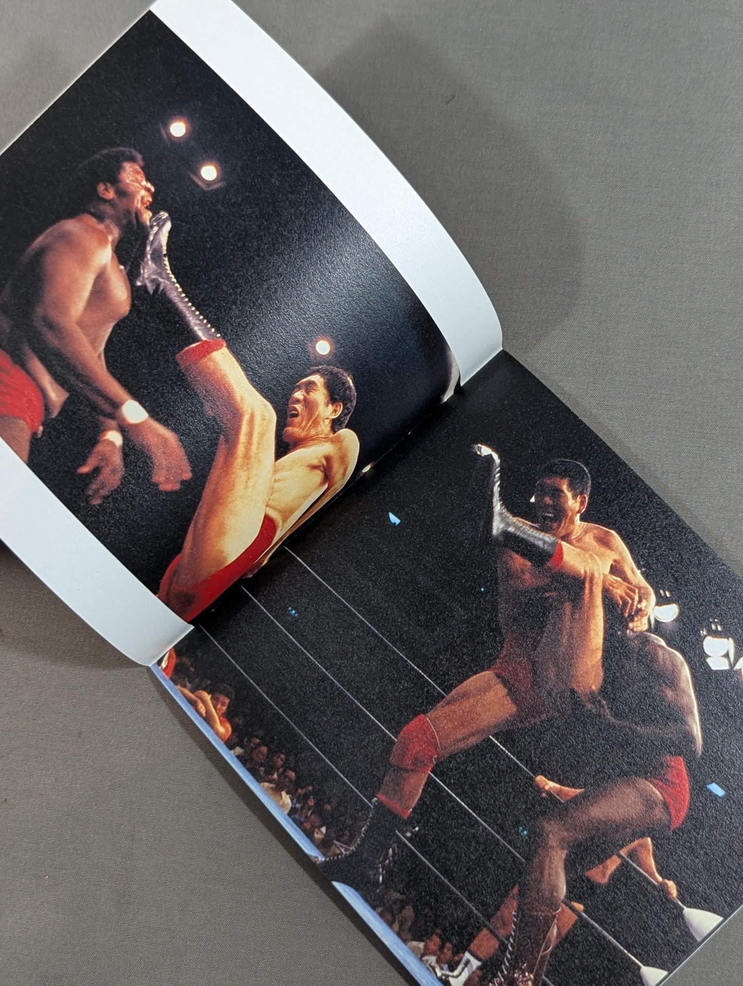 全日本プロレス 創立30周年記念アルバム 王道バク進!
