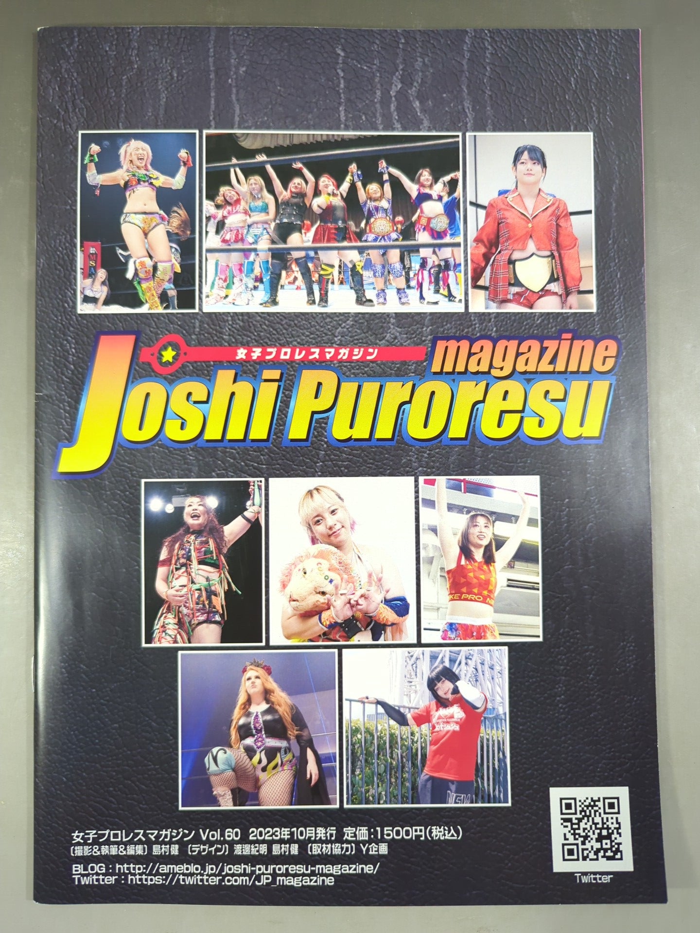 Women's Pro Wrestling Magazine Vol.60