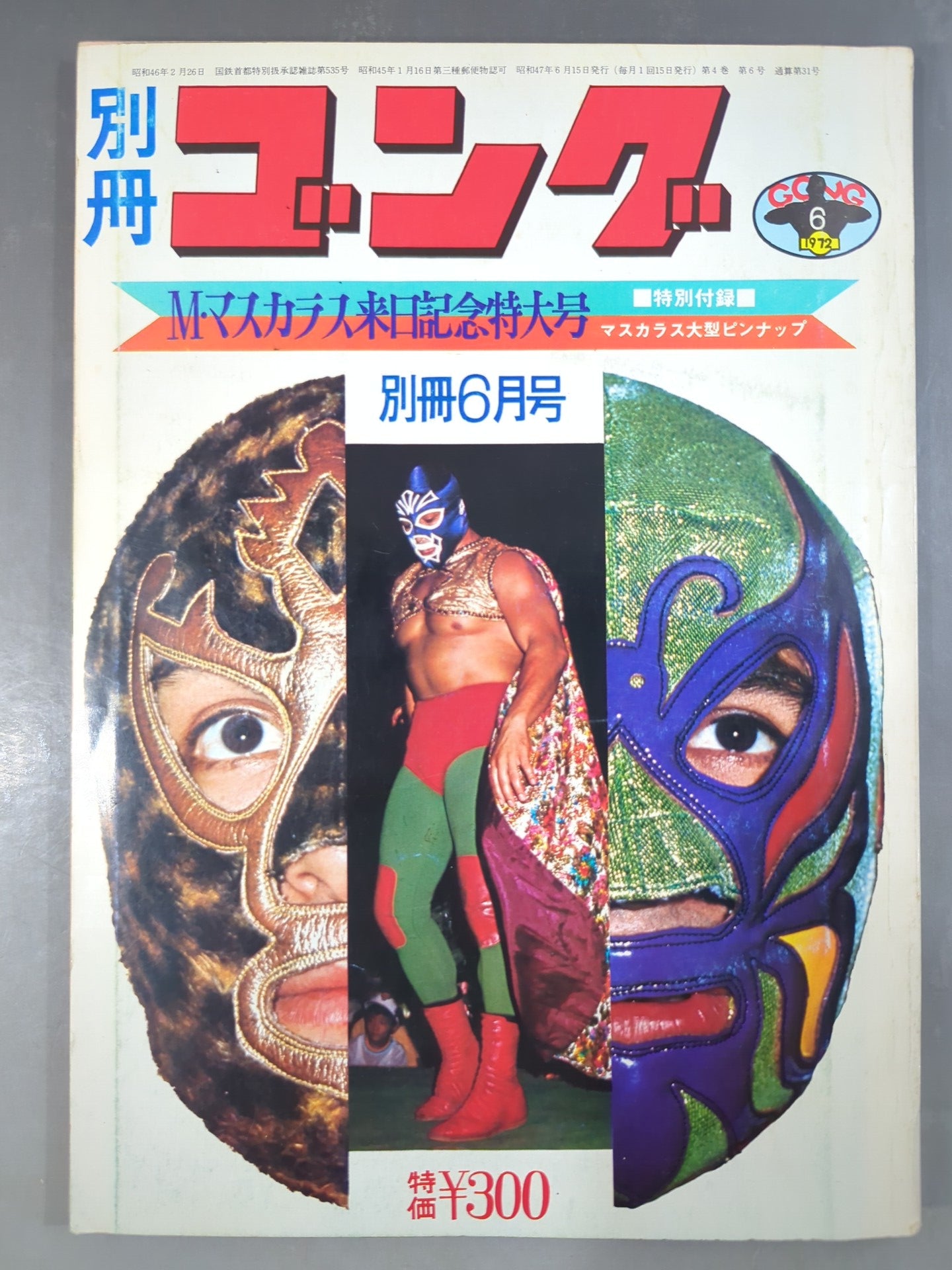 別冊ゴングVol.4 No.6 – 闘道館