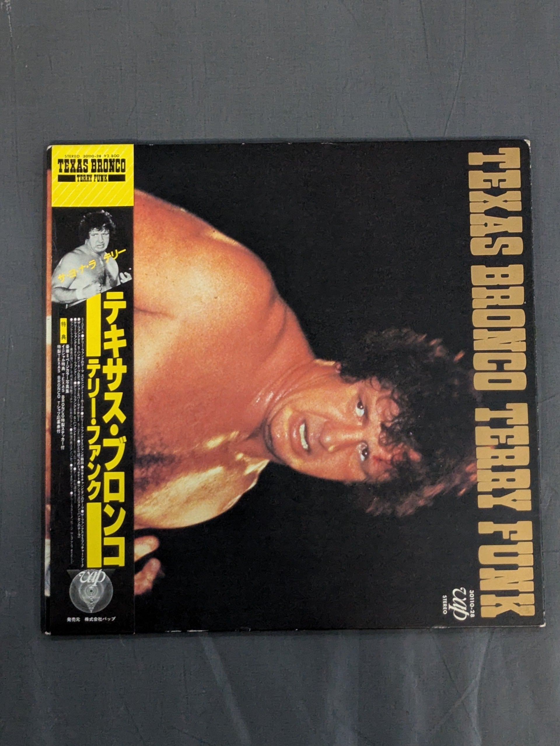 TEXAS BRONCO TERRY FUNK / テキサス・ブロンコ テリー・ファンク – 闘道館