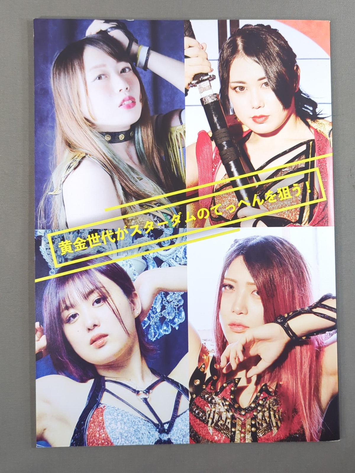 STARDOM OFFICIAL GUIDE BOOK Vol.137