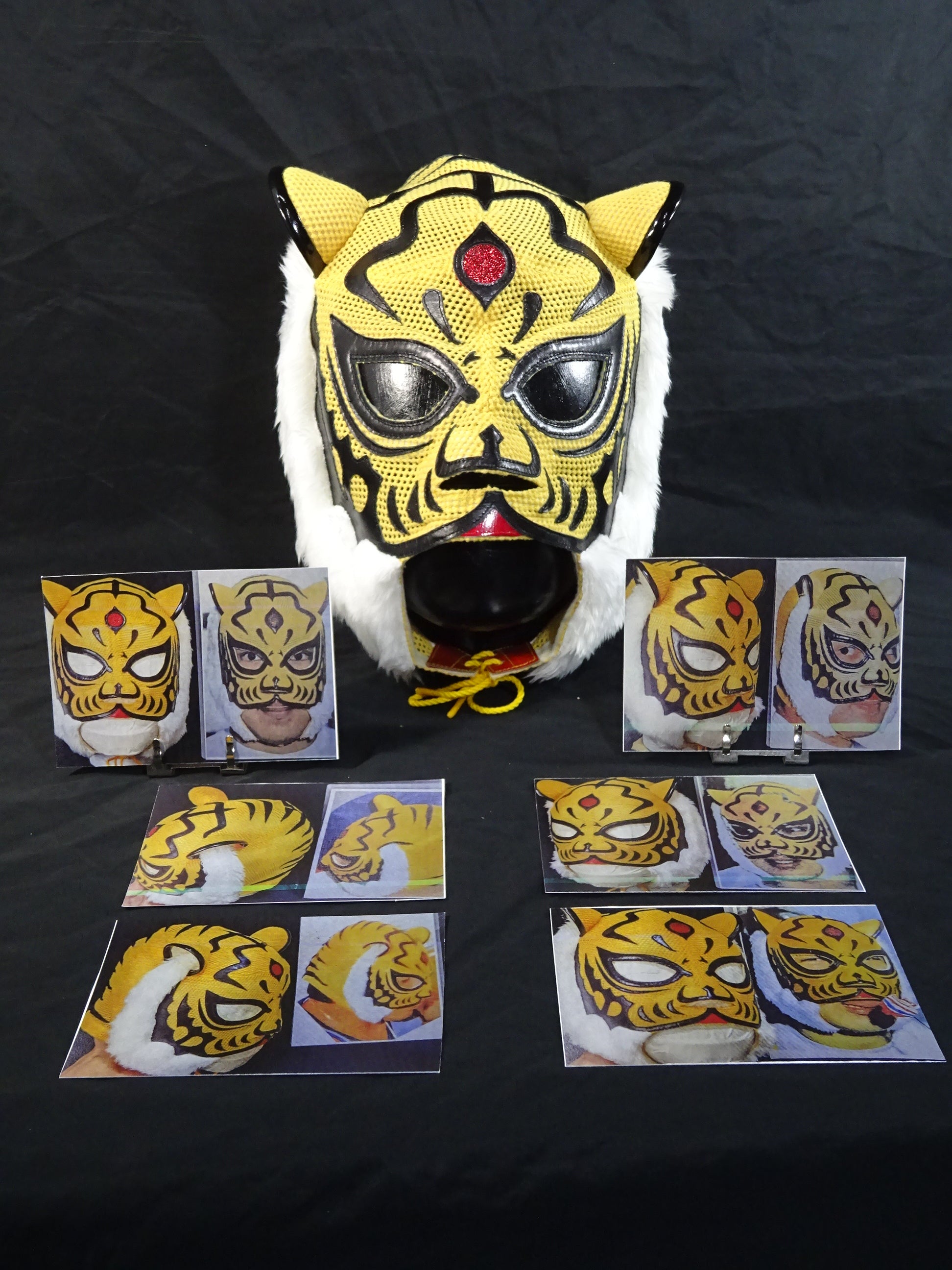 初代タイガーマスク – 闘道館