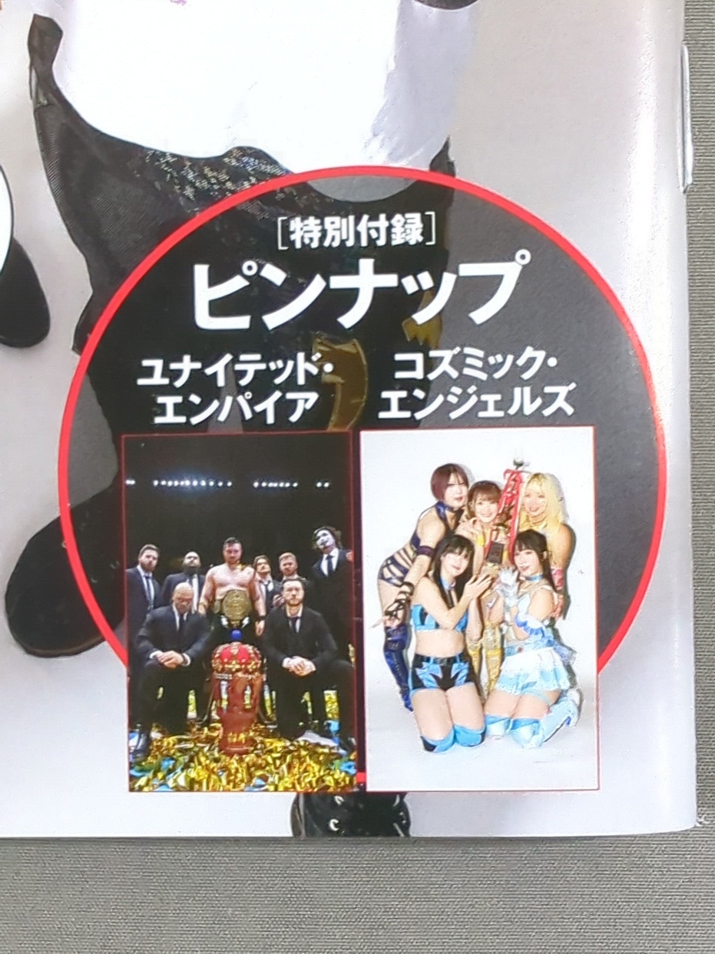 週刊プロレス2407