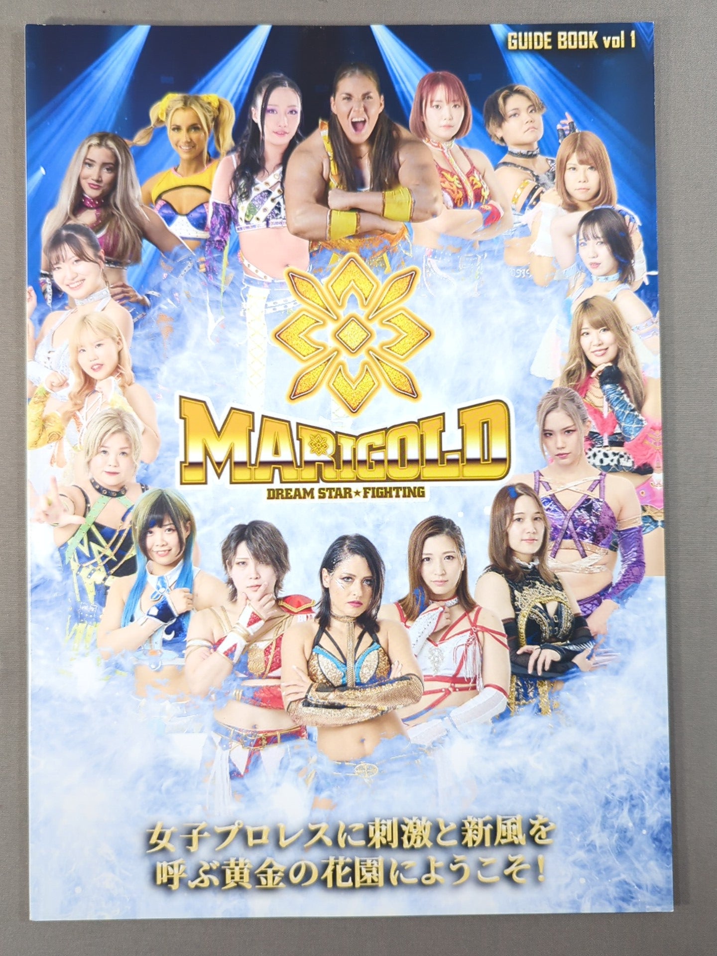 女子プロレス　マリーゴールド　プロレスカード　72種　トレカ 🟨プロレスカード再入荷！ 売り切れになっていましたマリーゴールドの