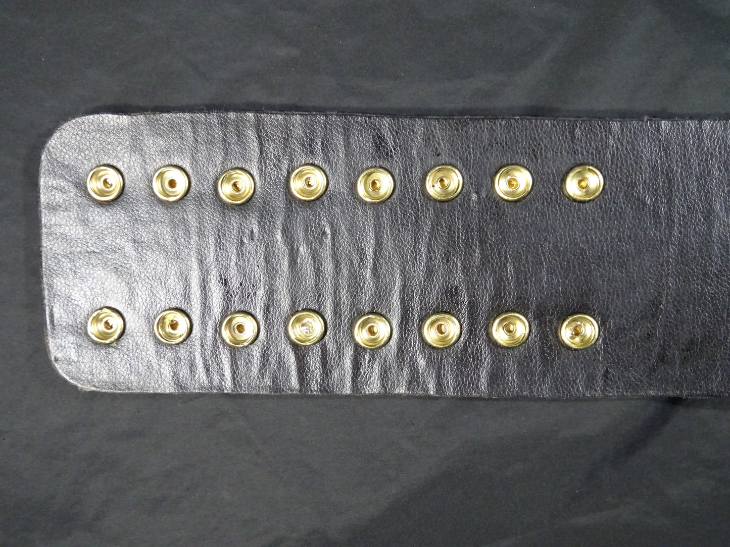 ★飛龍から猛虎へ★ WWFジュニアヘビー級王座チャンピオンベルト