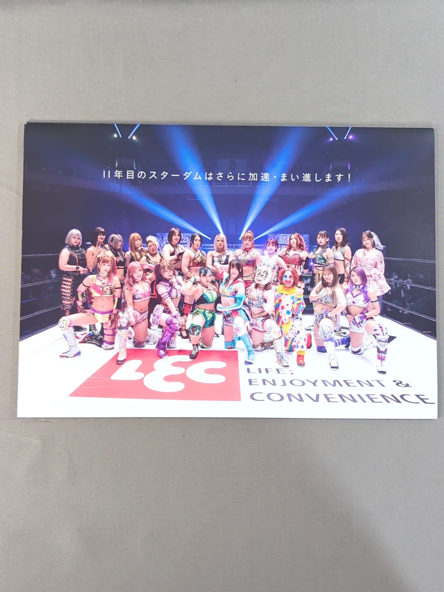 STARDOM OFFICIAL GUIDE BOOK Vol.135