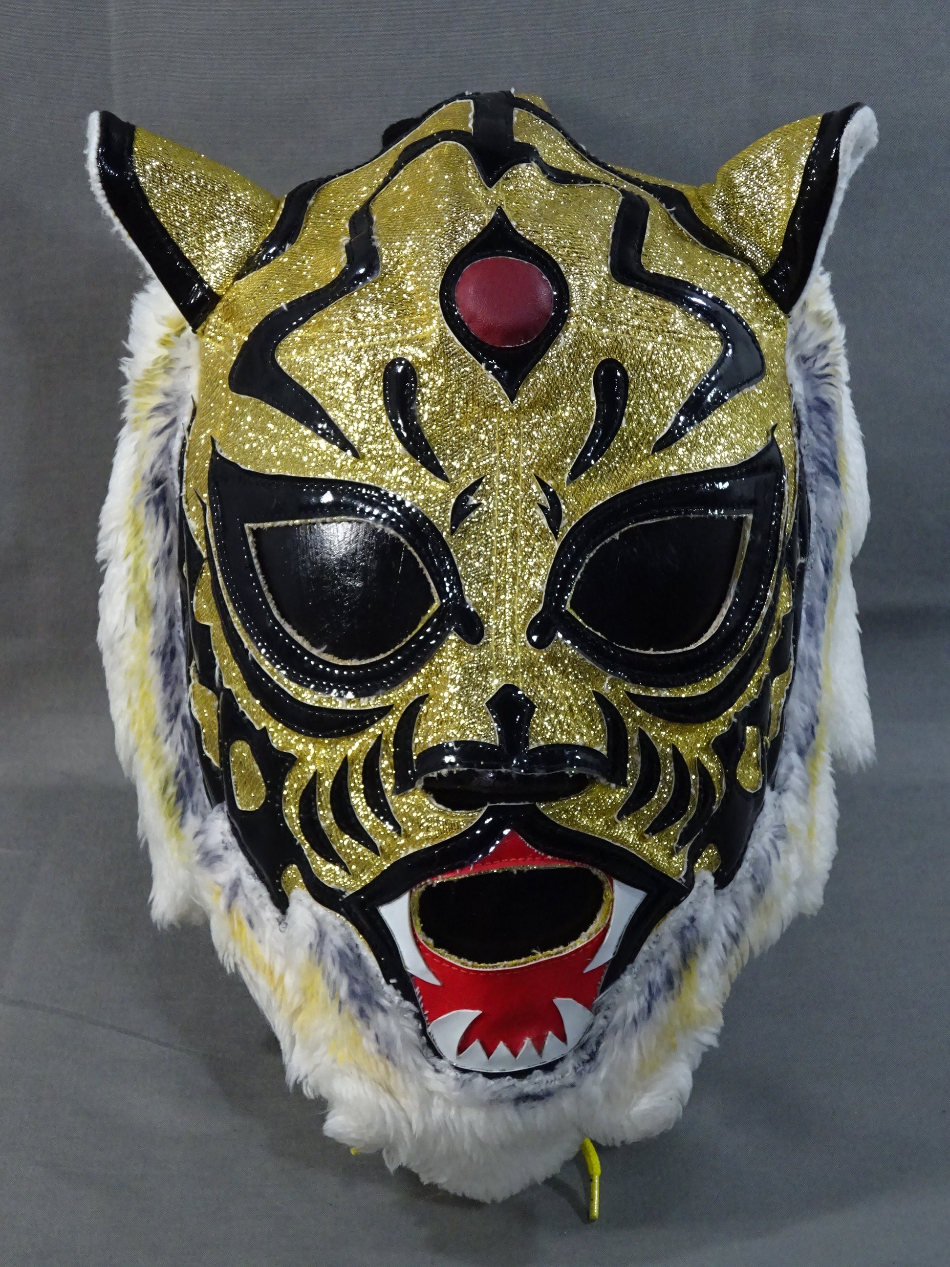 初代タイガーマスク – 闘道館