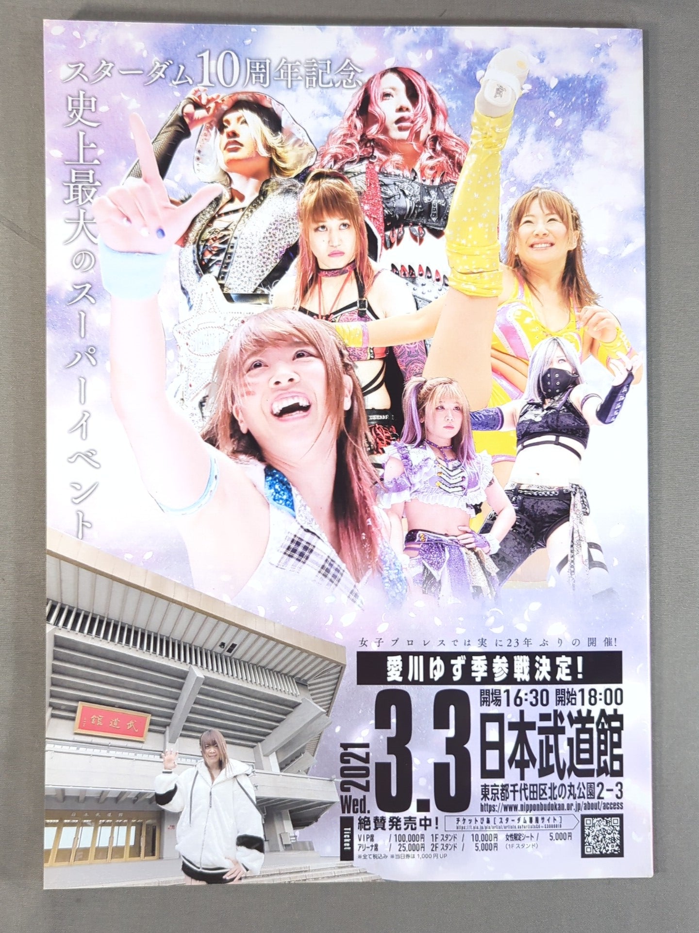 STARDOM OFFICIAL GUIDE BOOK Vol.134