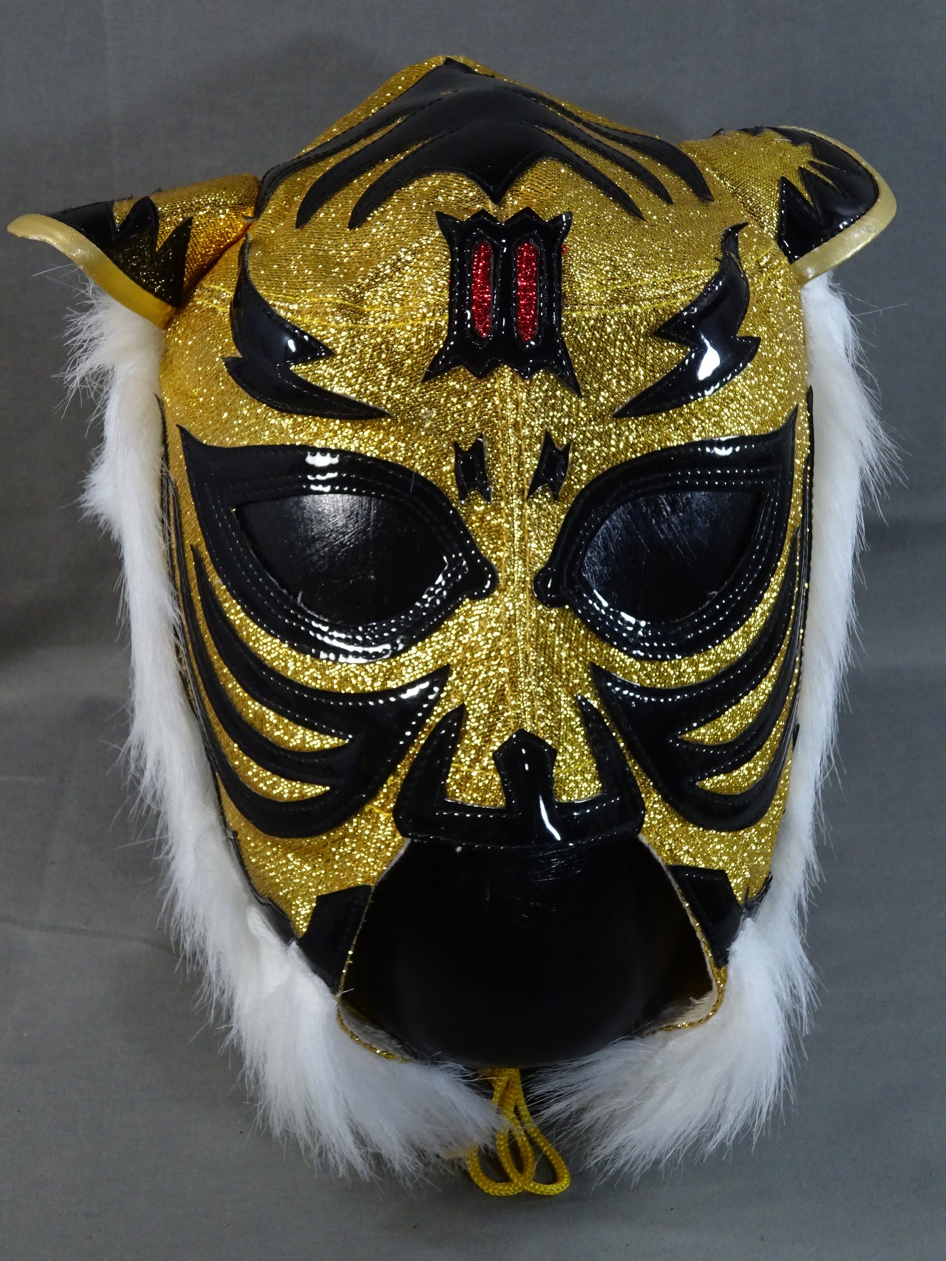 The first Tiger Mask – 闘道館