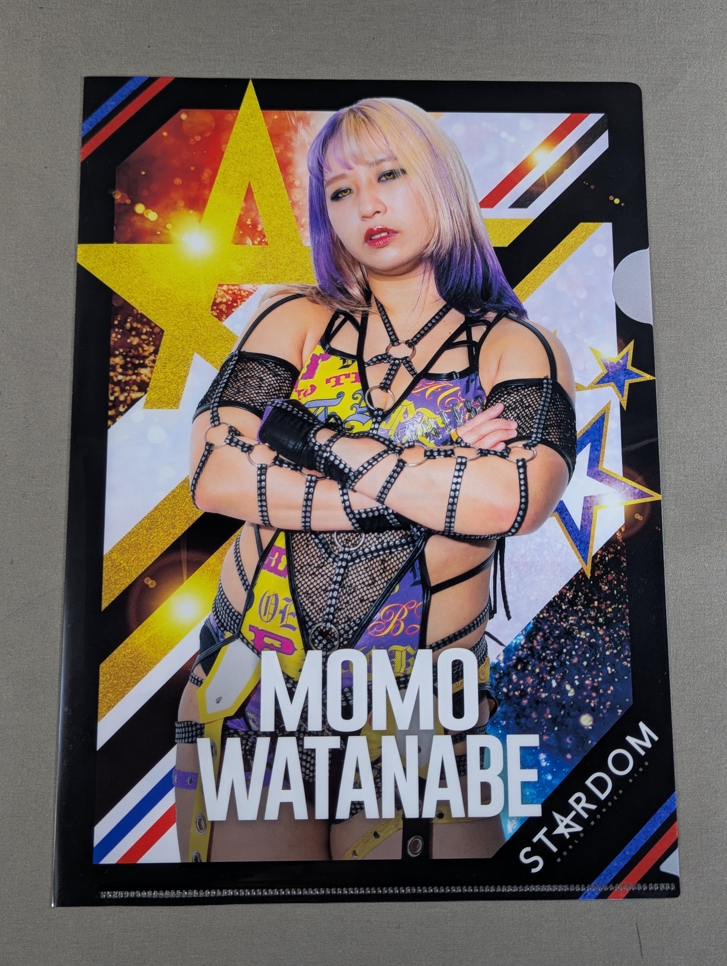 Momo Watanabe 5★STAR GP 2024 plastic file folder