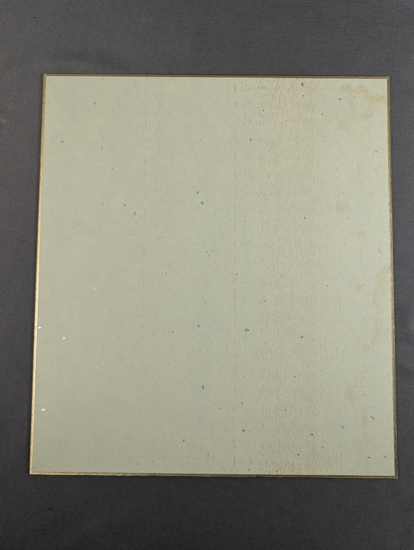 Shinsuke Nakamura (Lion Mark ) Shikishi ( Autograph board ) )