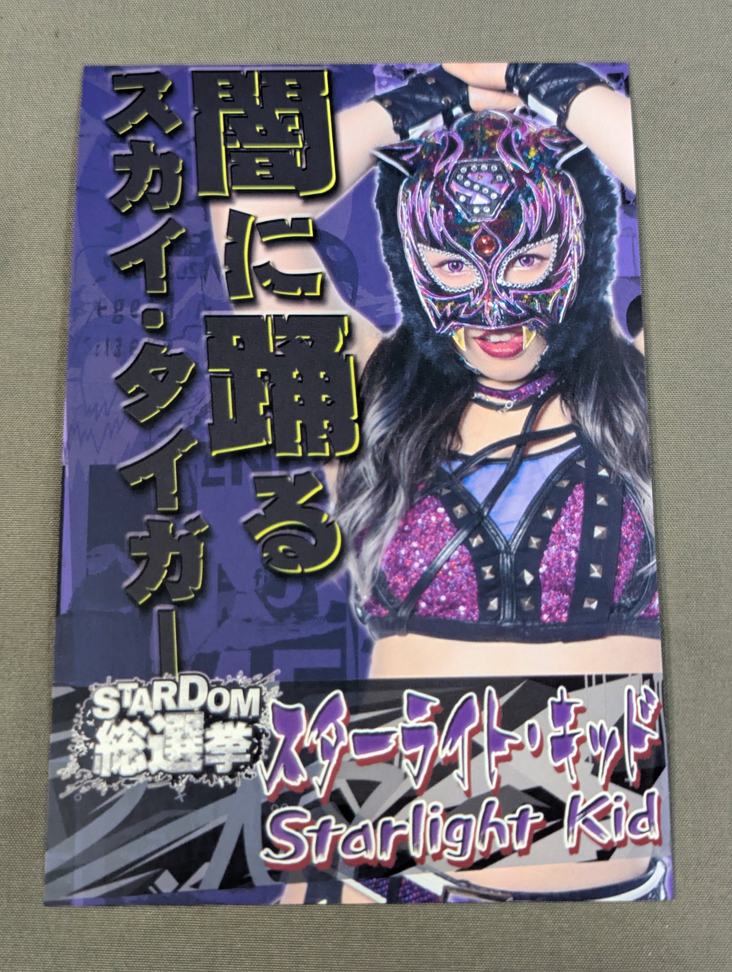 STARLIGHT KID Stardom General Election Postcard