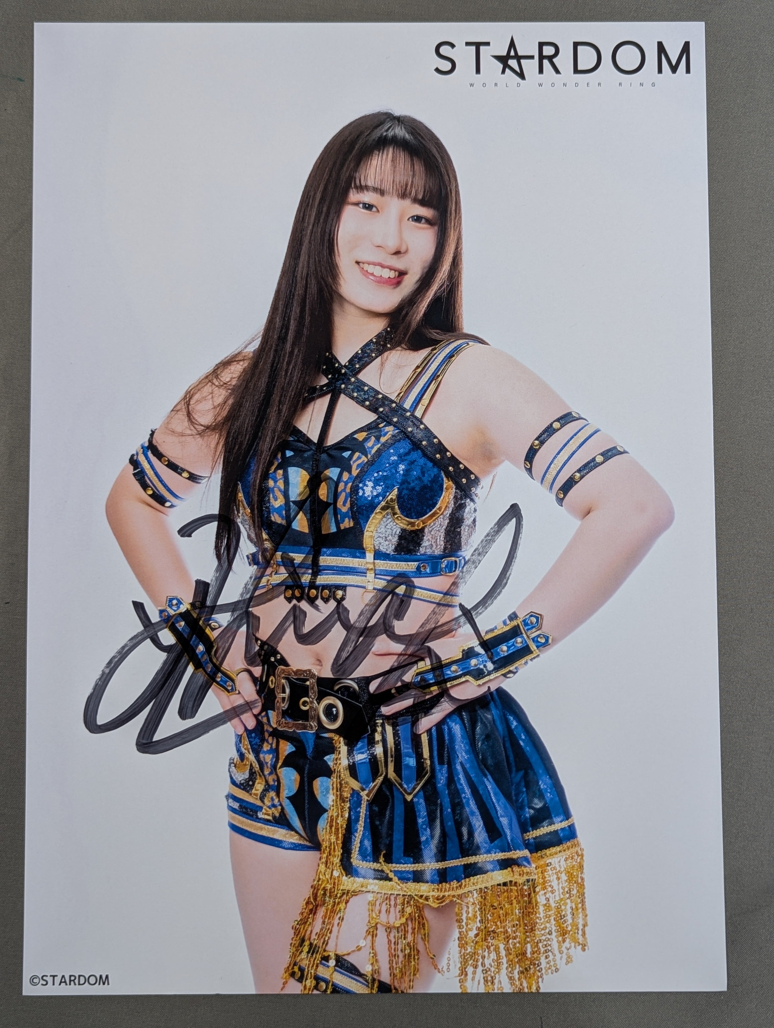 妃南 直筆サイン入り スターダムポートレート(E-9) – 闘道館