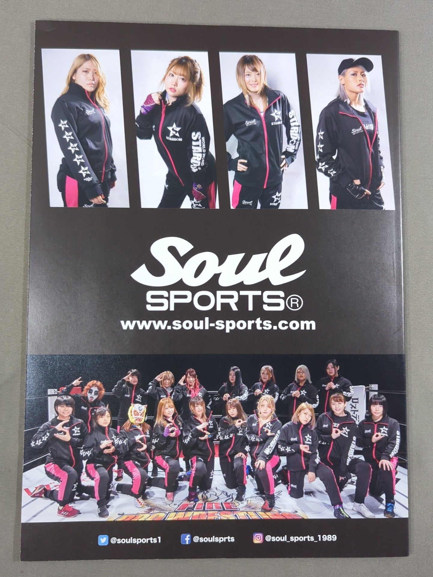 STARDOM OFFICIAL GUIDE BOOK Vol.131