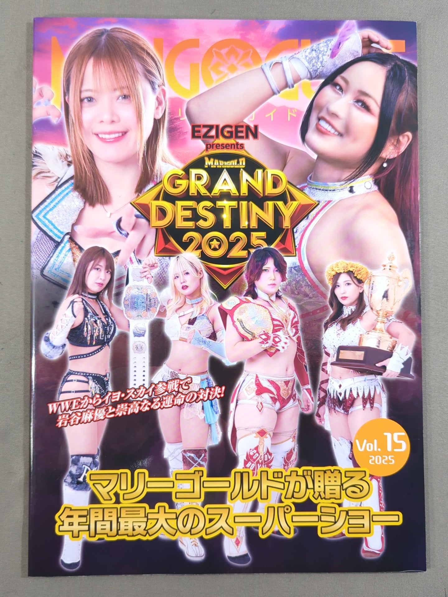 マリーゴールド / MARIGOLD GUIDE BOOK Vol.15 GRAND DESTINY 2025