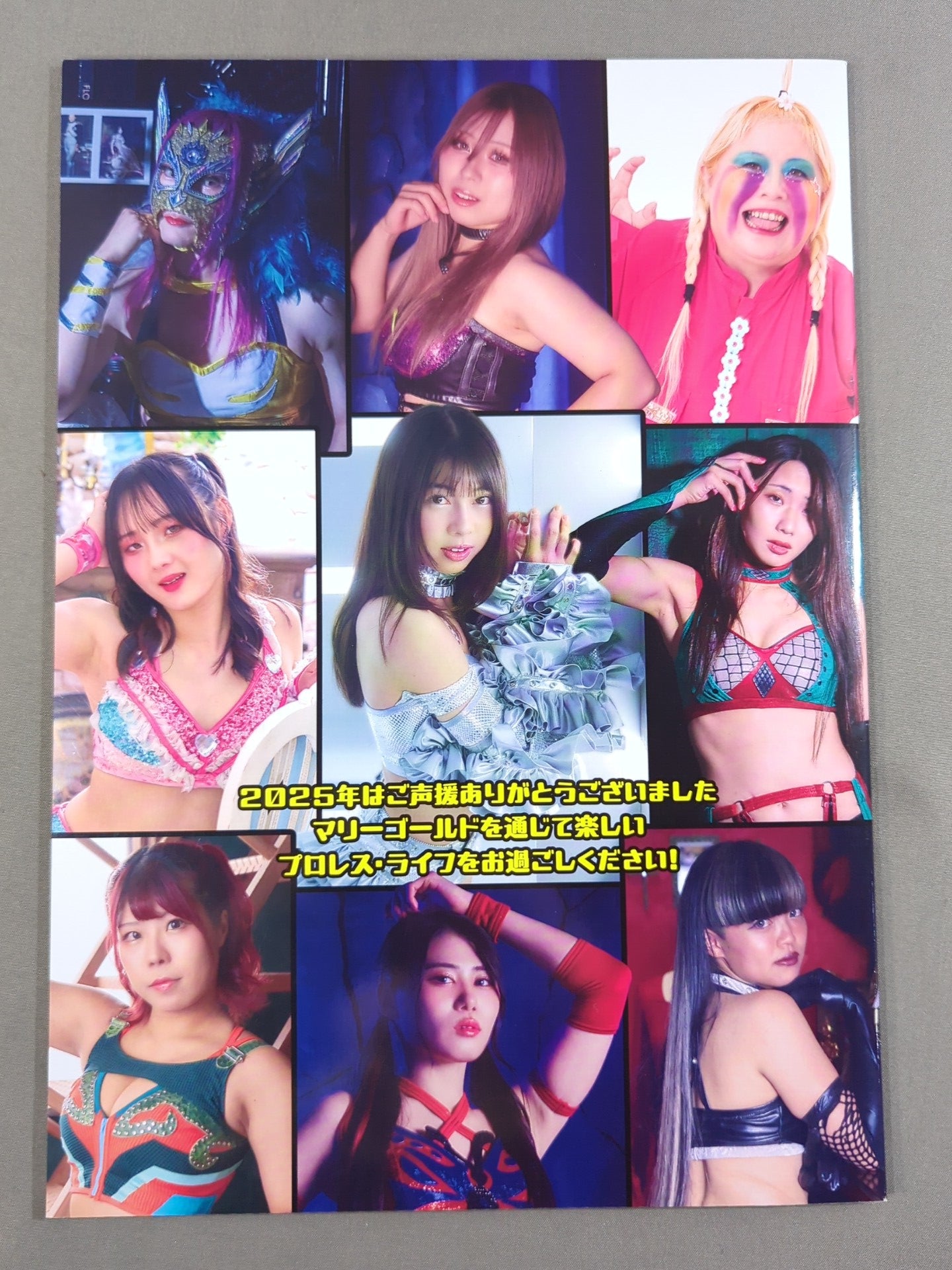 MARIGOLD GUIDE BOOK Vol.16