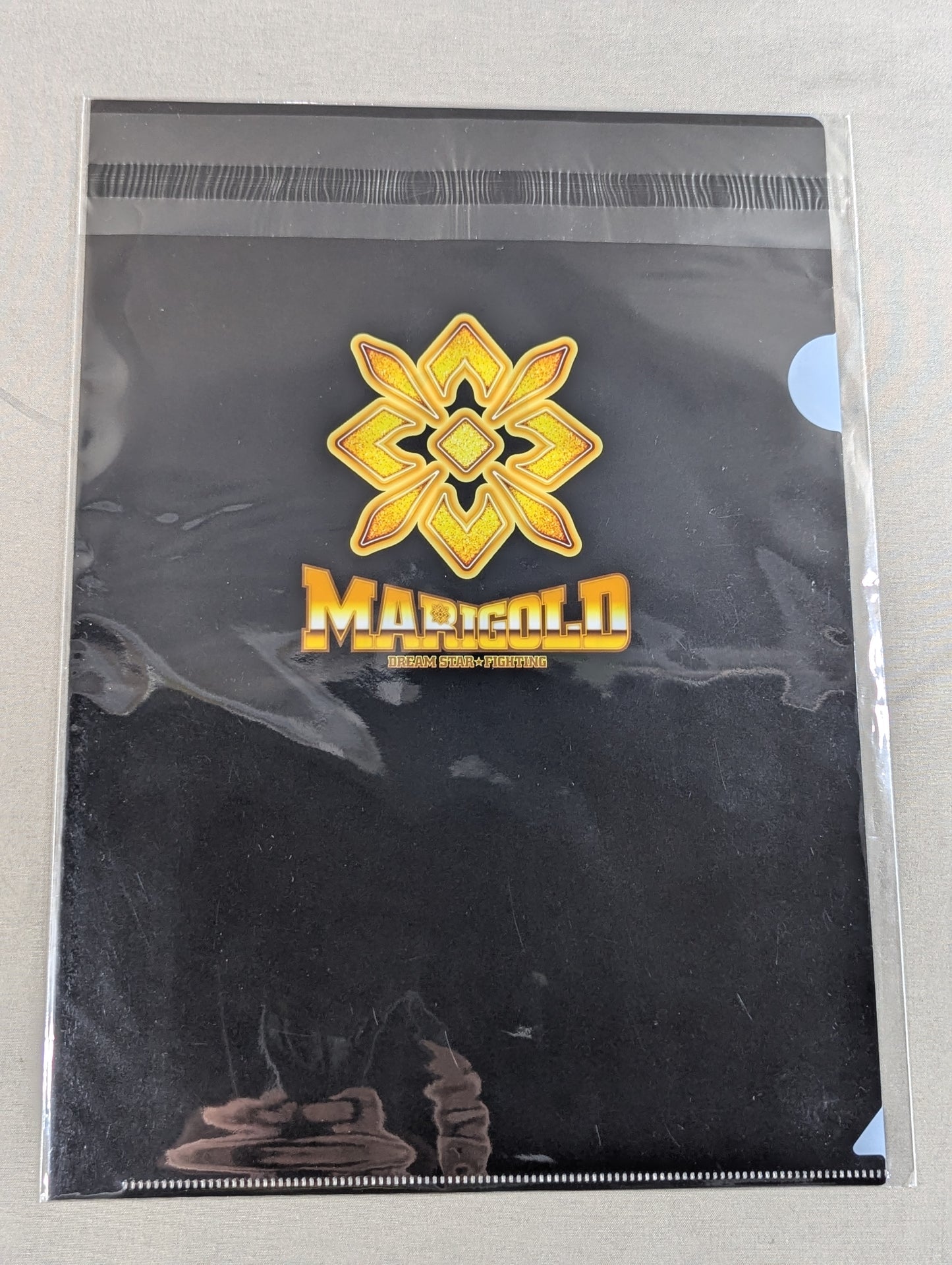 Misa Matsui #33 Marigold plastic file folder