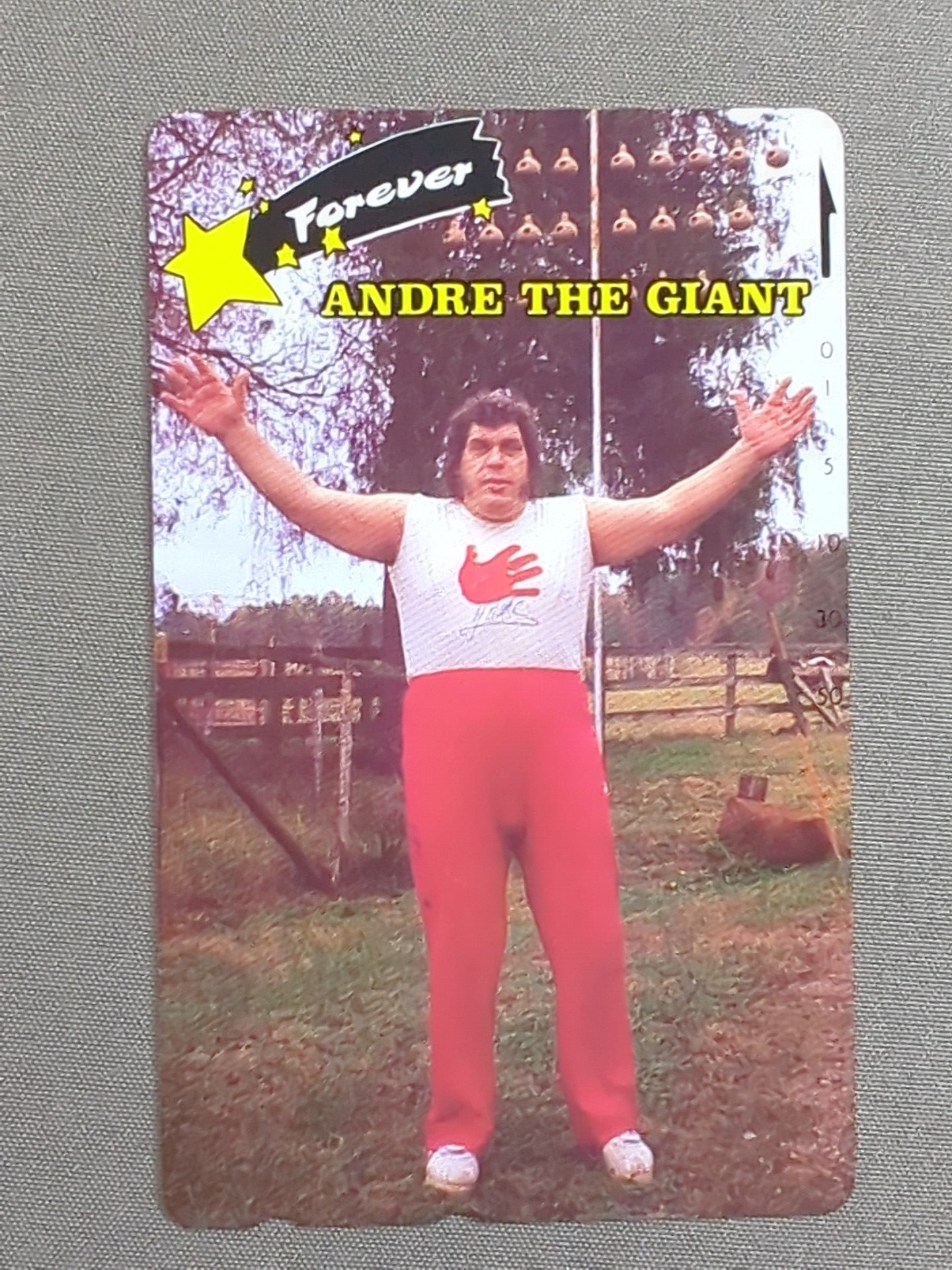 アンドレ・ザ・ジャイアント Forever ANDRE THE GIANT – 闘道館