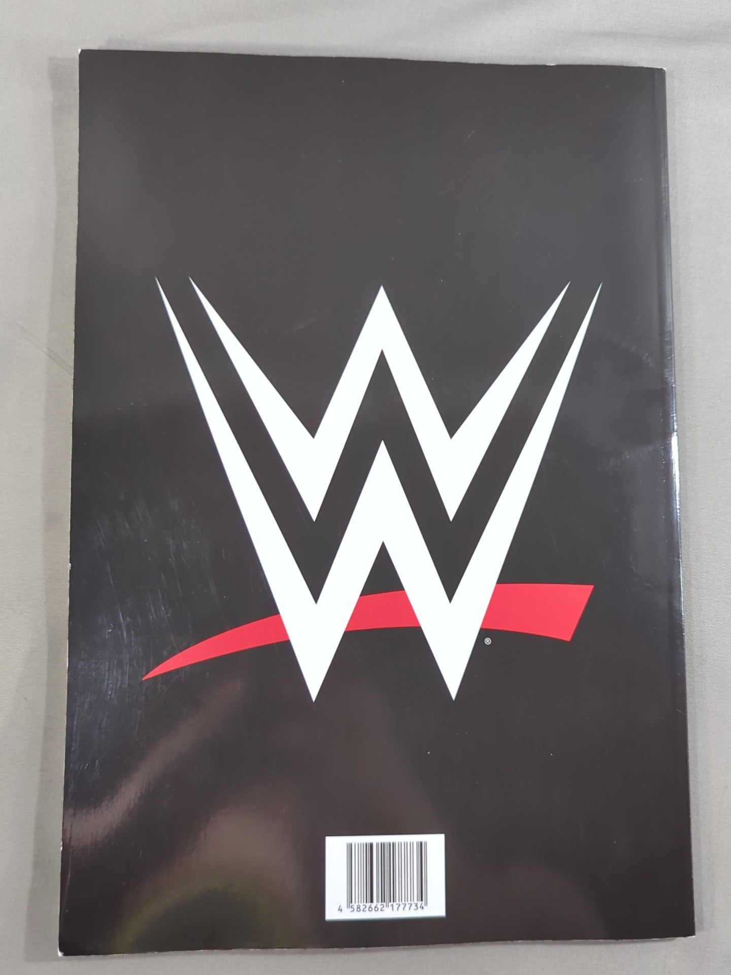 WWE OFFICIAL PROGRAM 2024