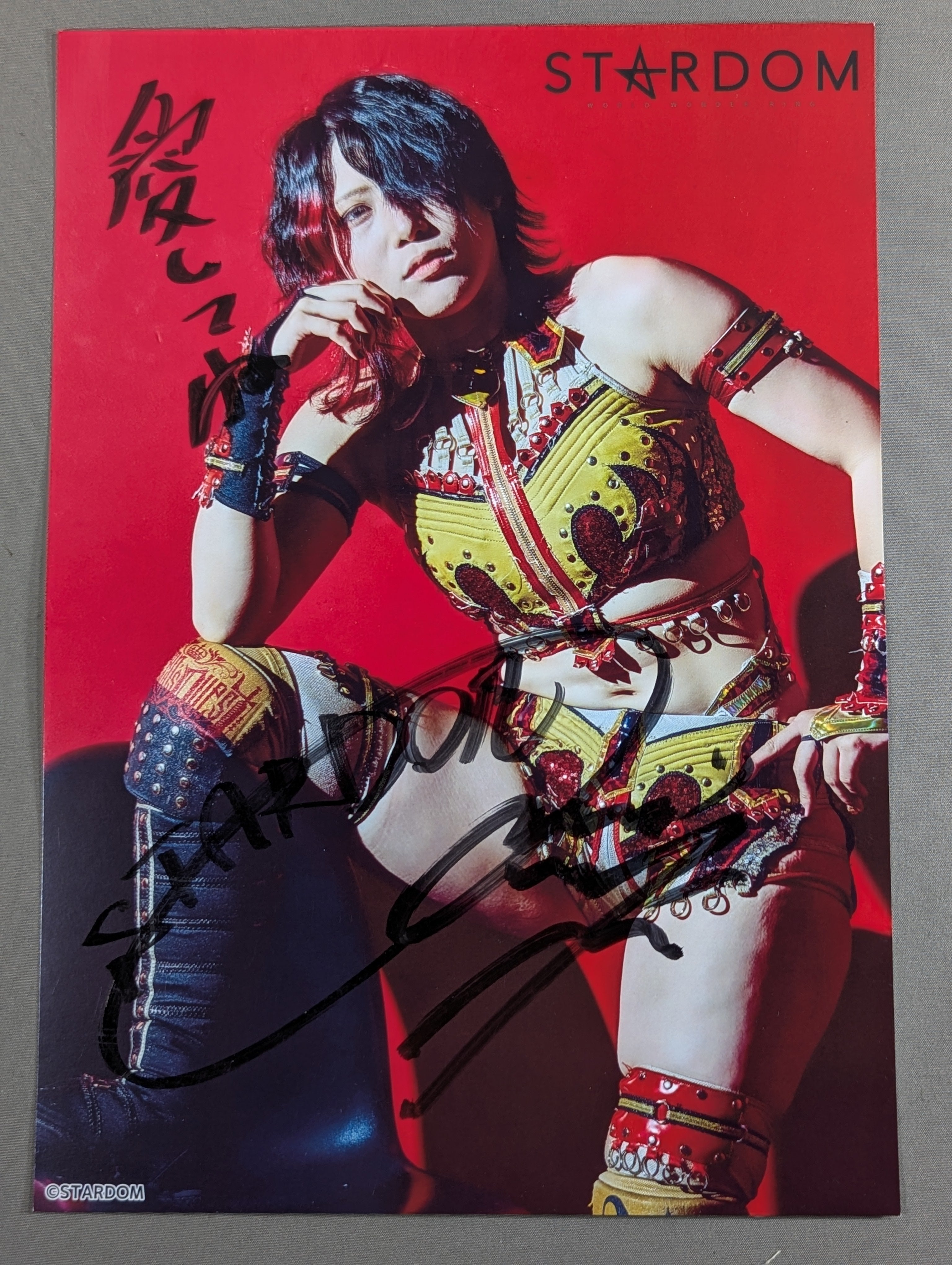 ジュリア スターダム WWE STARDOM VIP席特典直筆サイン入りポスター 林下詩美 直筆サイン入り スターダムポートレート(V-4) – 闘道館
