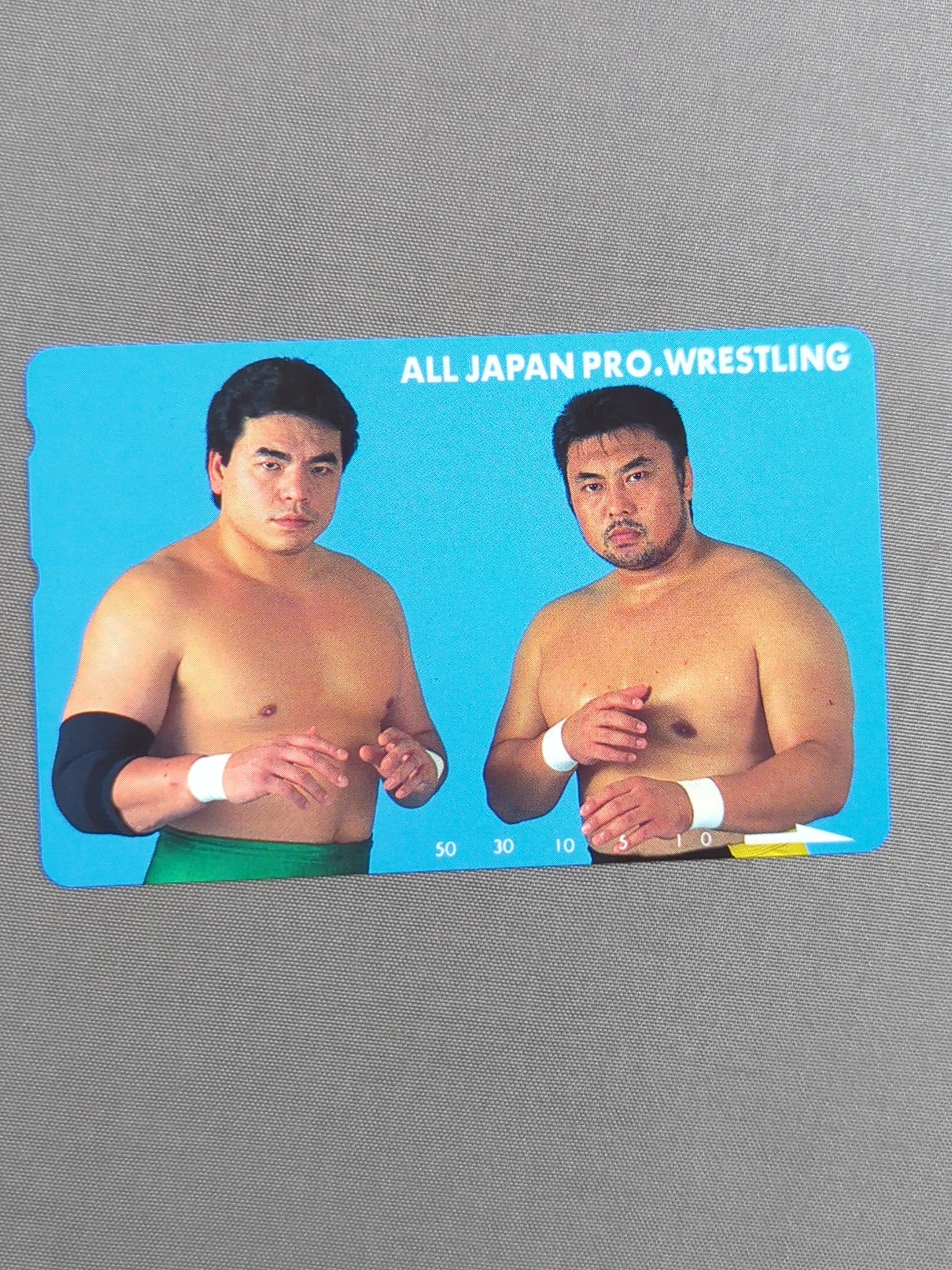 三沢光晴＆川田利明② – 闘道館