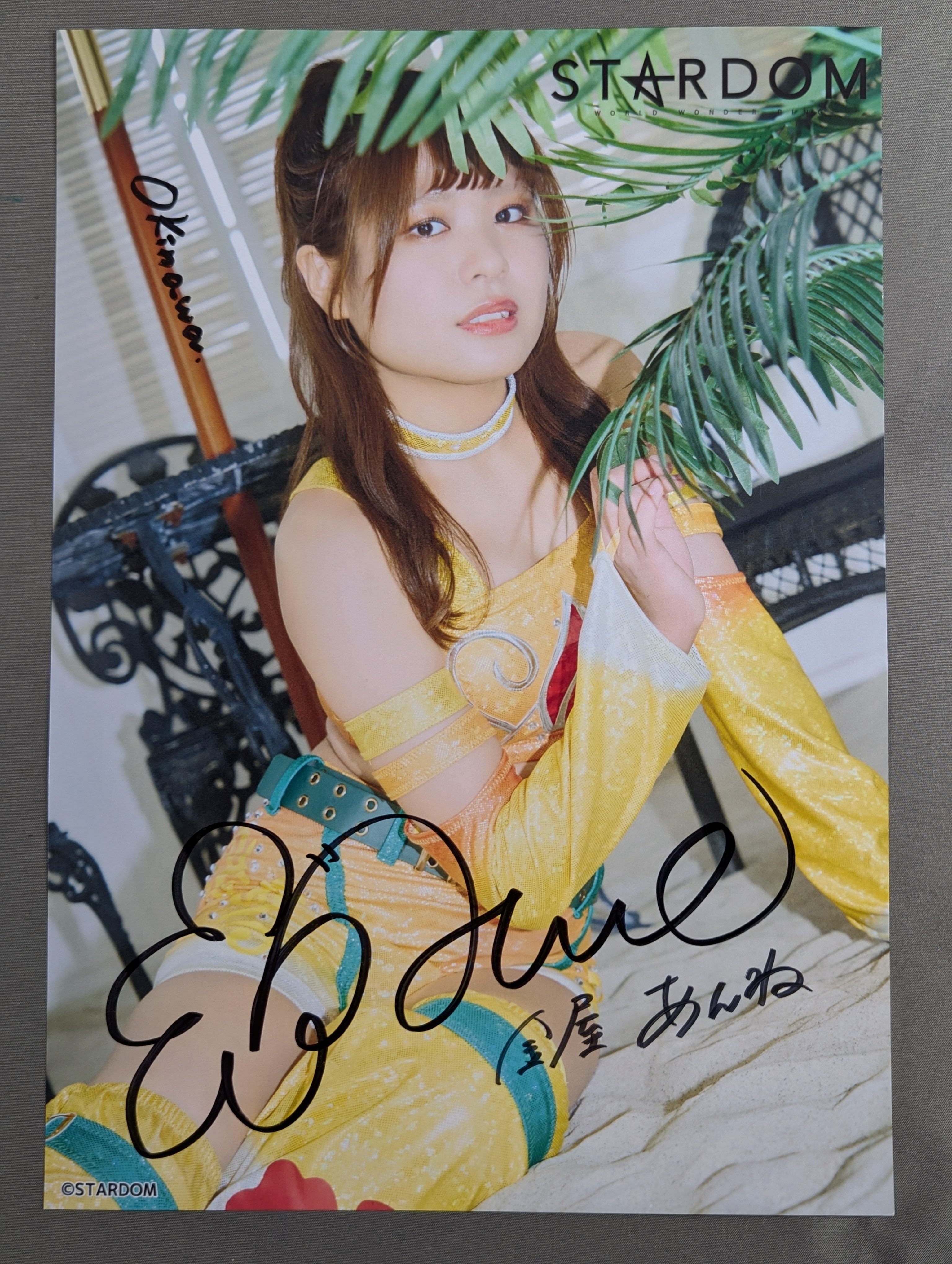 金屋あんね 直筆サイン入り スターダムポートレート(A-2) – 闘道館