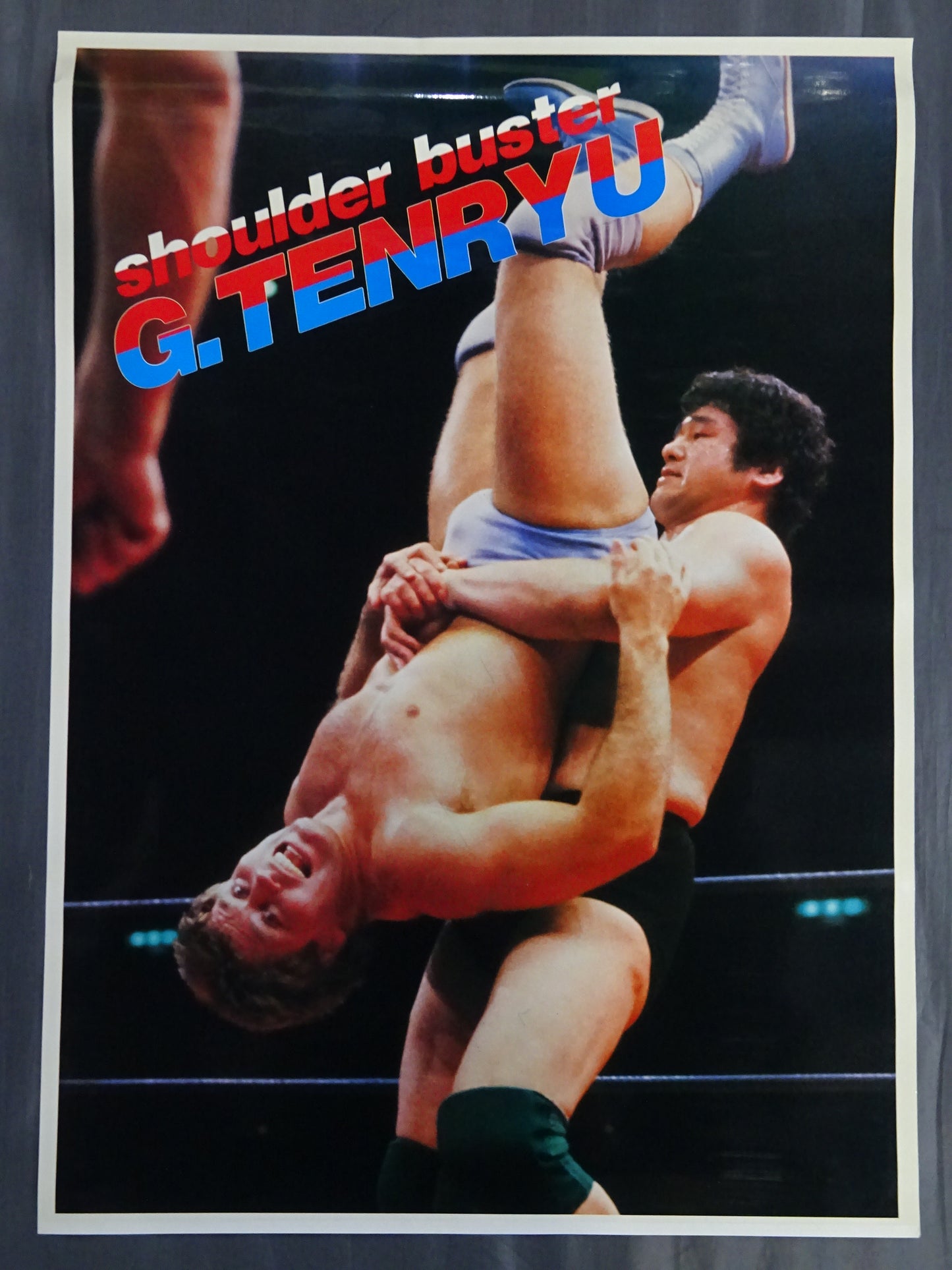 Tenryu Genichiro Posters(1)