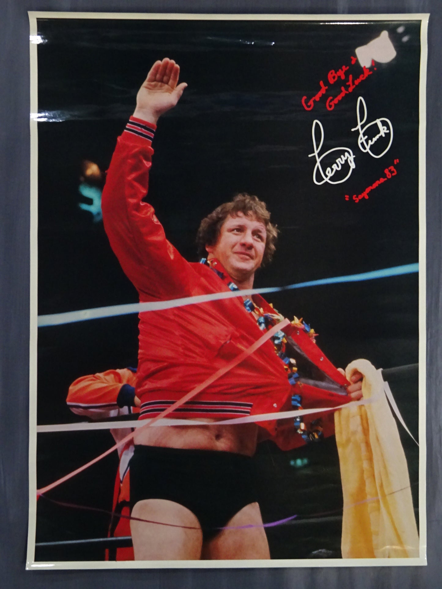 Terry Funk Posters(1)