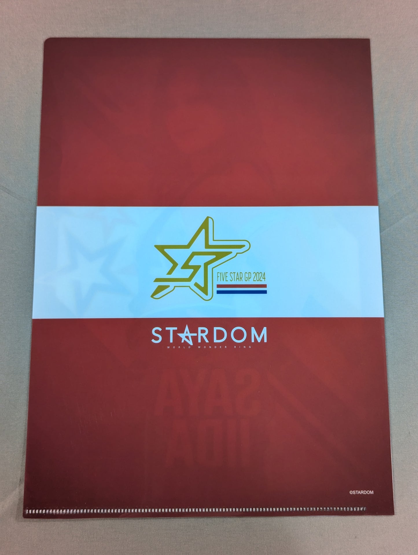 Saya Iida 5★STAR GP 2024 plastic file folder