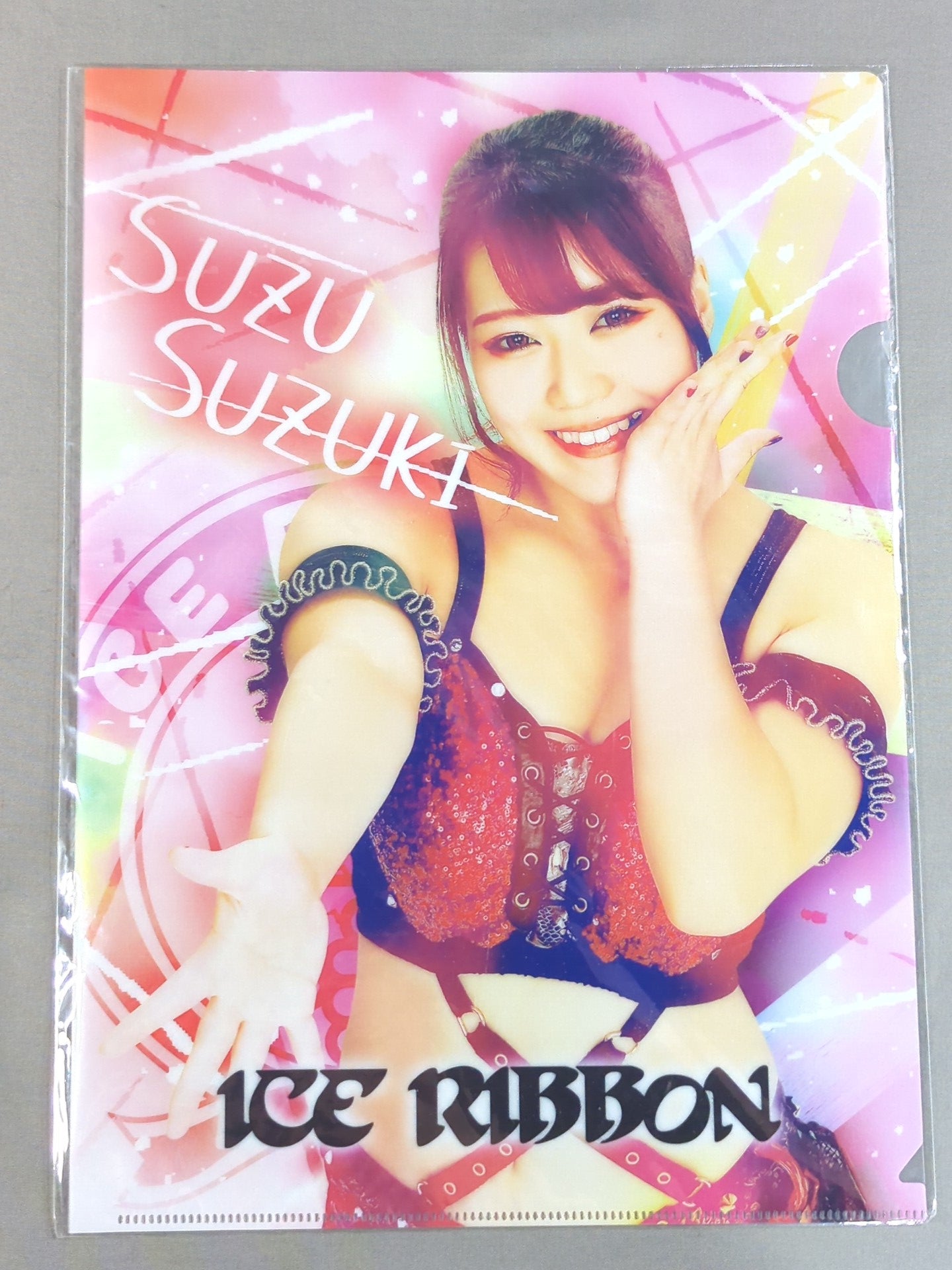 Suzu Suzuki plastic file folder – 闘道館
