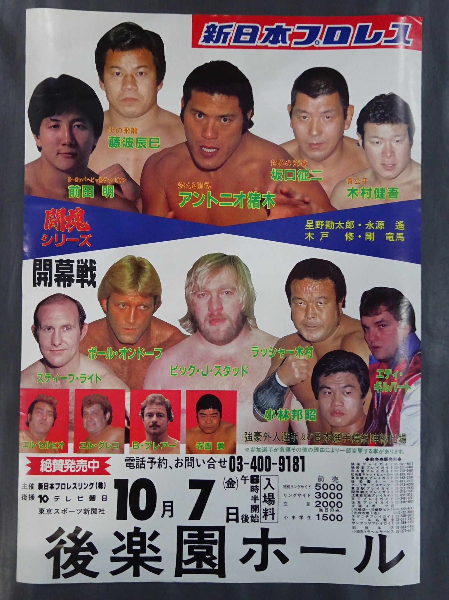 Fighting spirit series