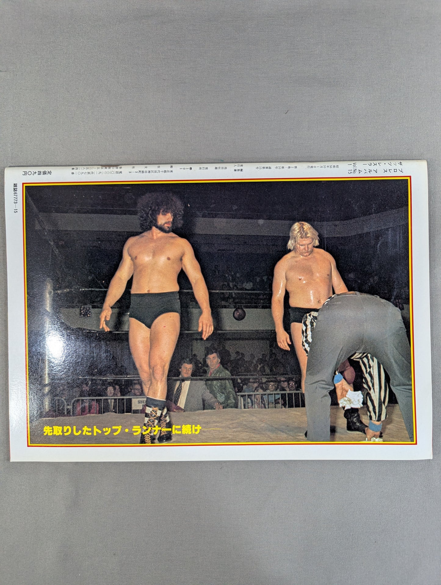 Pro Wrestling Album 15 New Wave 7
