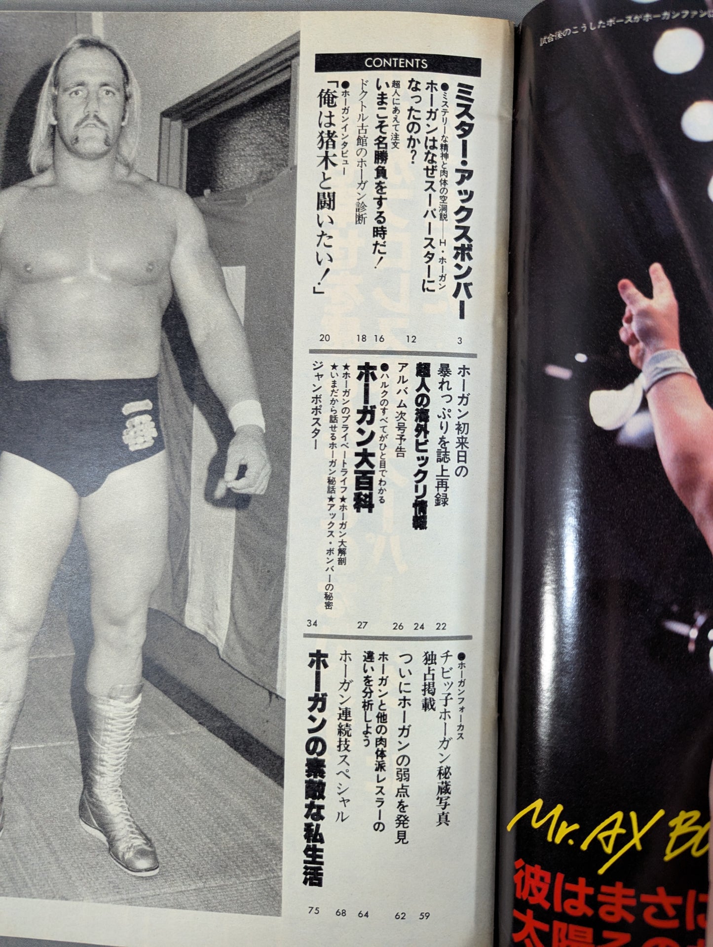 プロレスアルバム40 一番ハルク・ホーガン