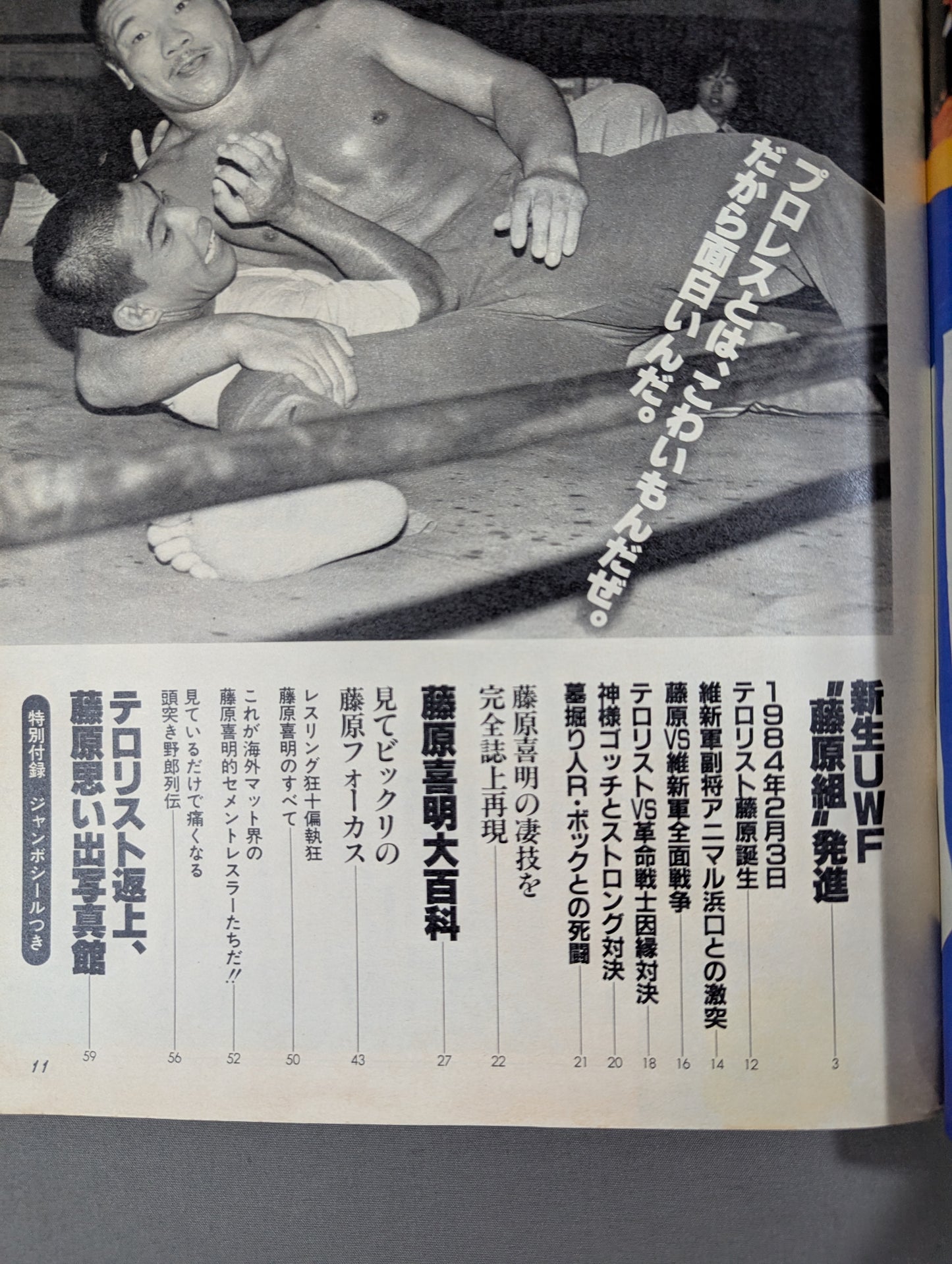 Pro Wrestling Album 48 Yoshiaki Fujiwara
